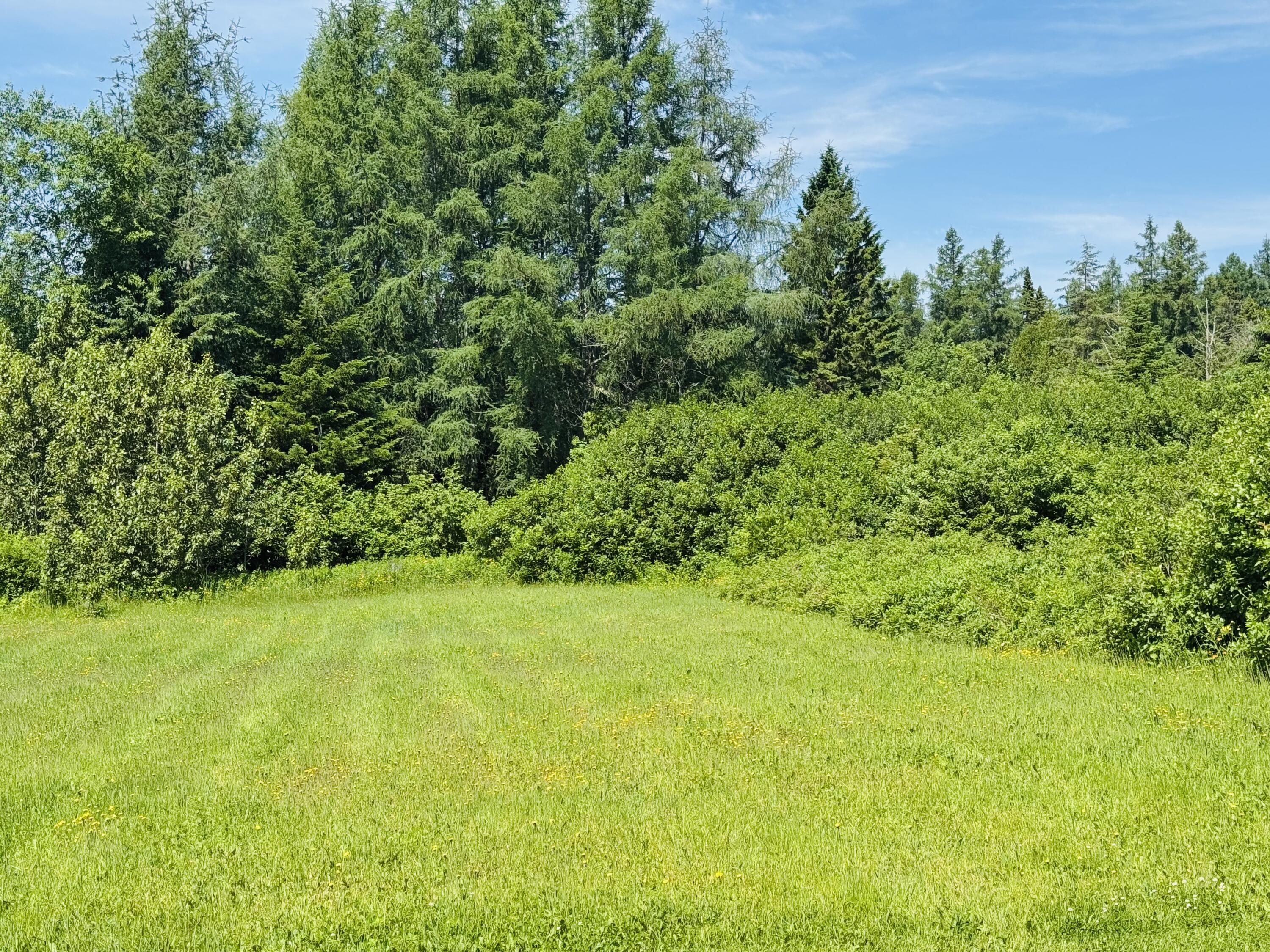 1710 Van Buren Road Property Photo 9