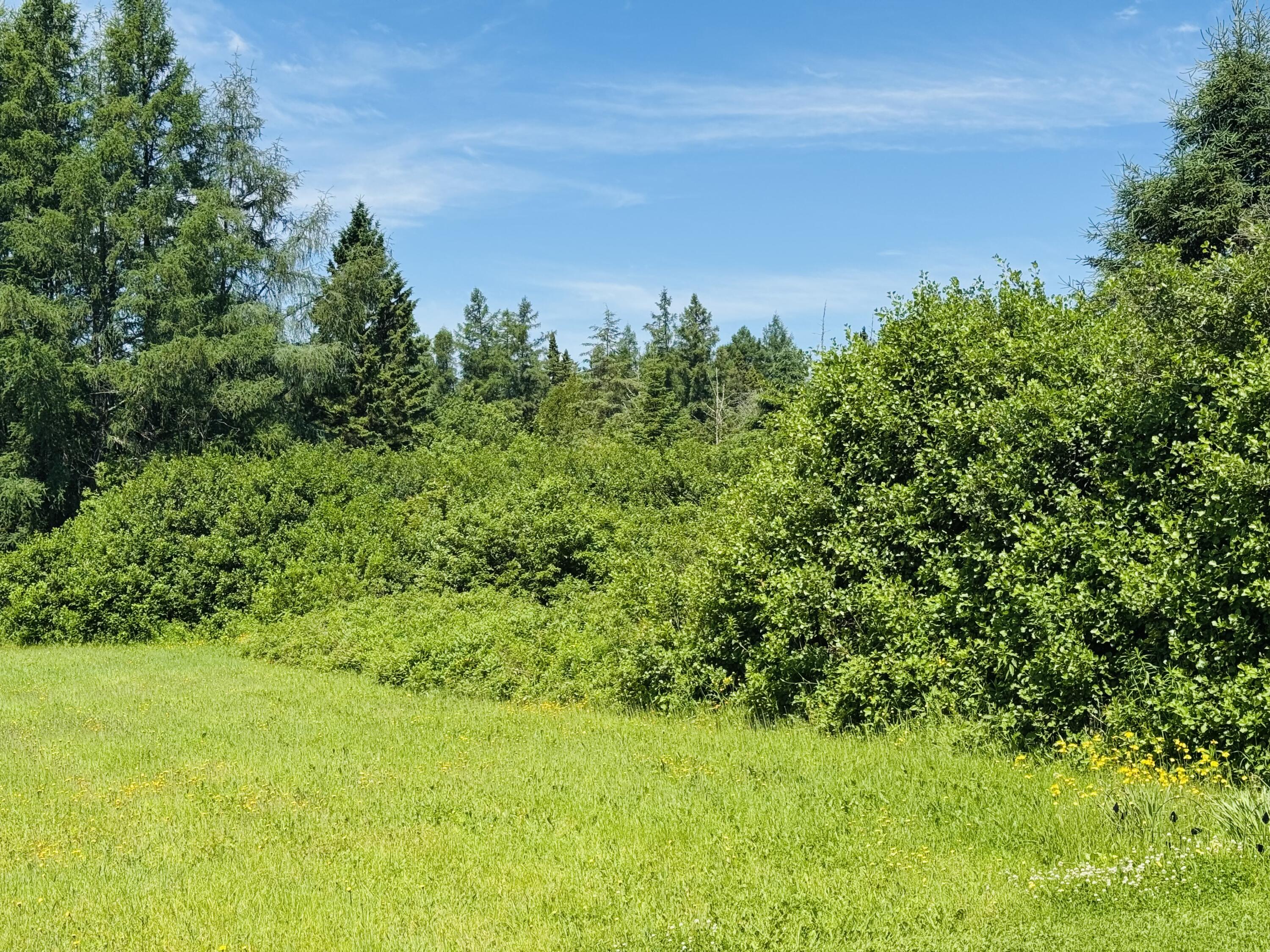 1710 Van Buren Road Property Photo 10