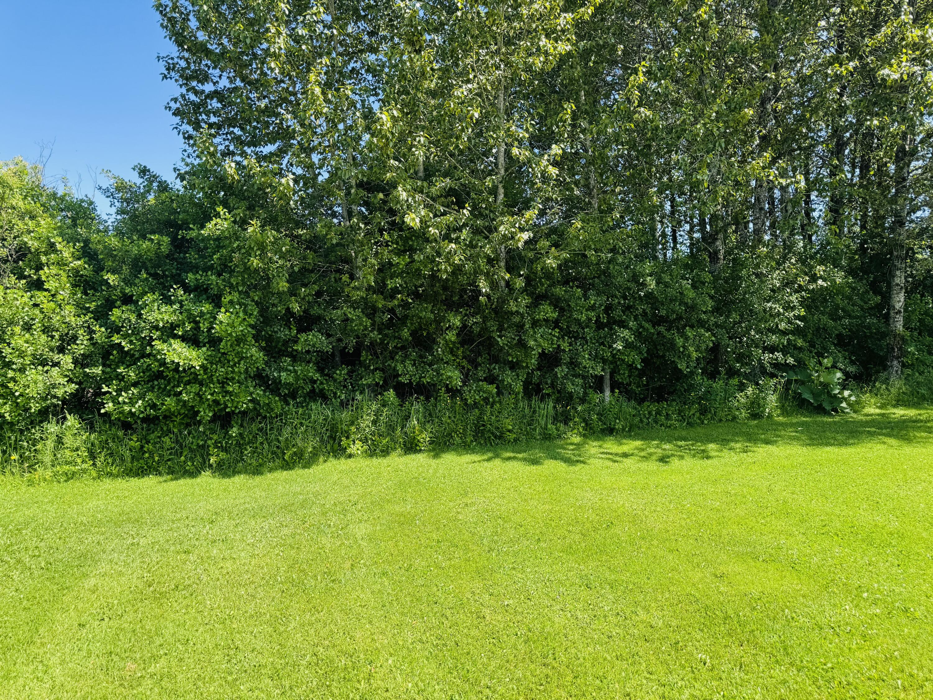 1710 Van Buren Road Property Photo 11