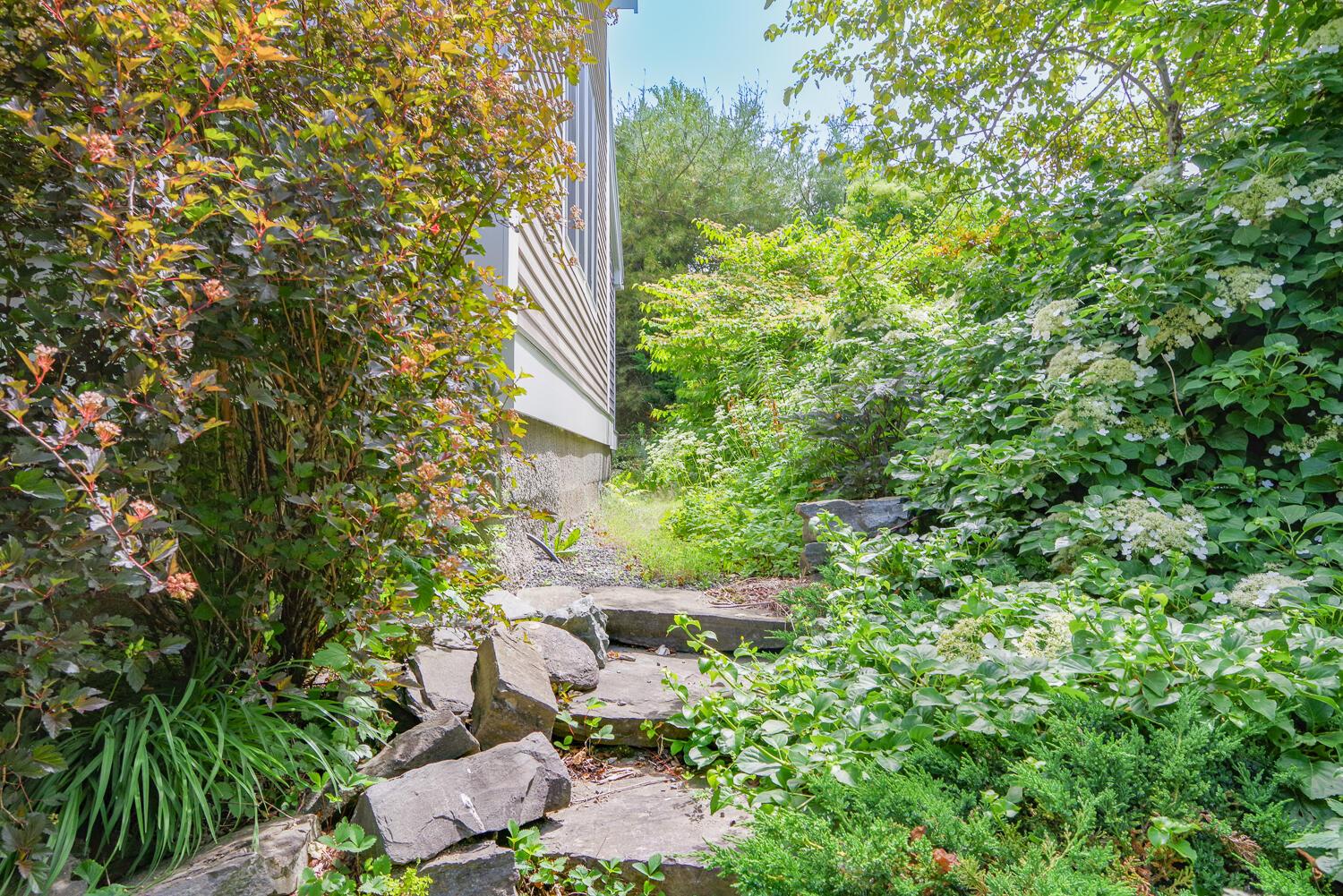 53 Patterson Hill Road Property Photo 35