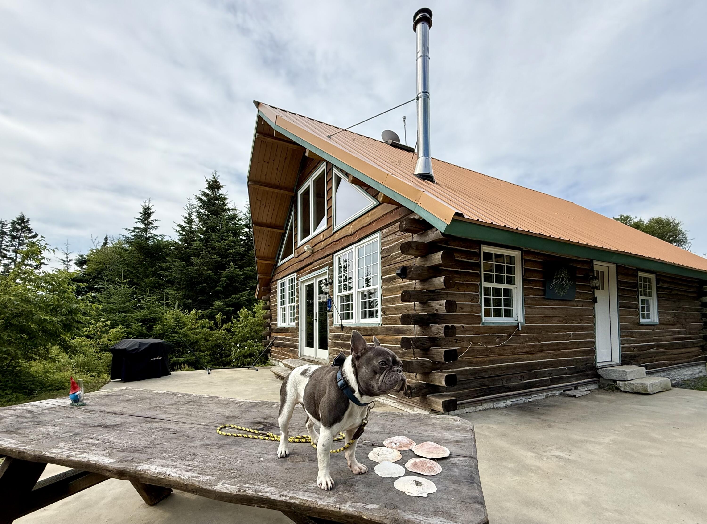 69 Jims Head Road Property Photo 5