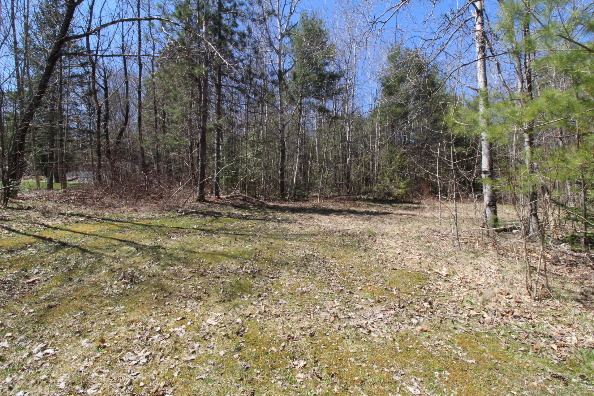 20 Estes Avenue Property Photo 46