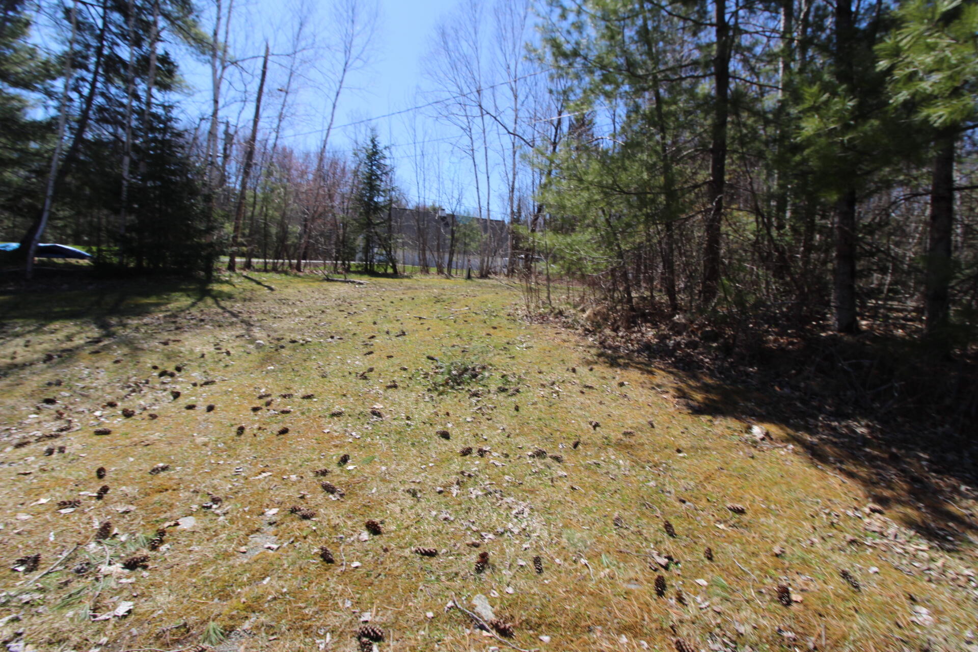 20 Estes Avenue Property Photo 47