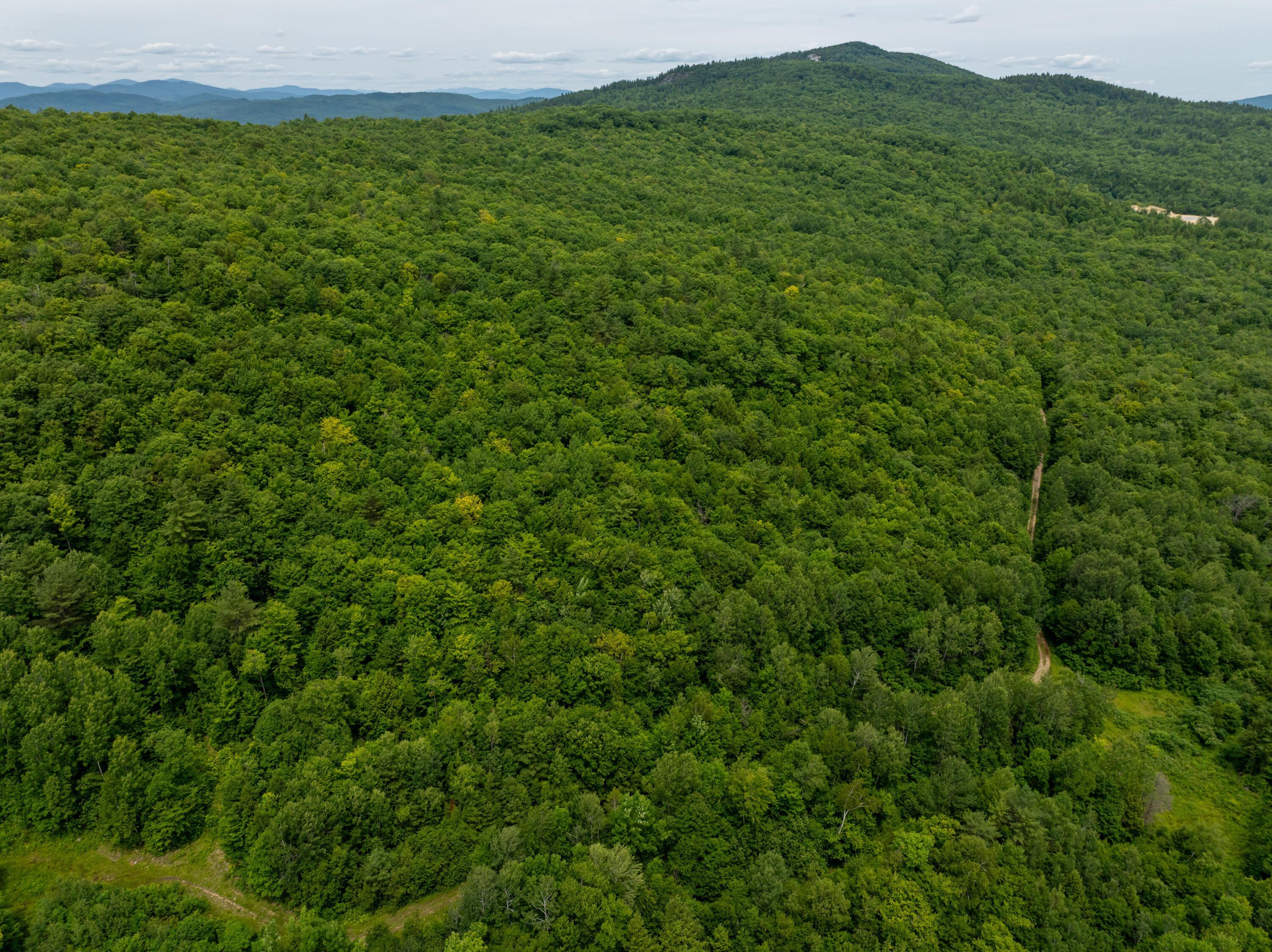 Map 10 Lot 1 Dow Brook Road Property Photo 1