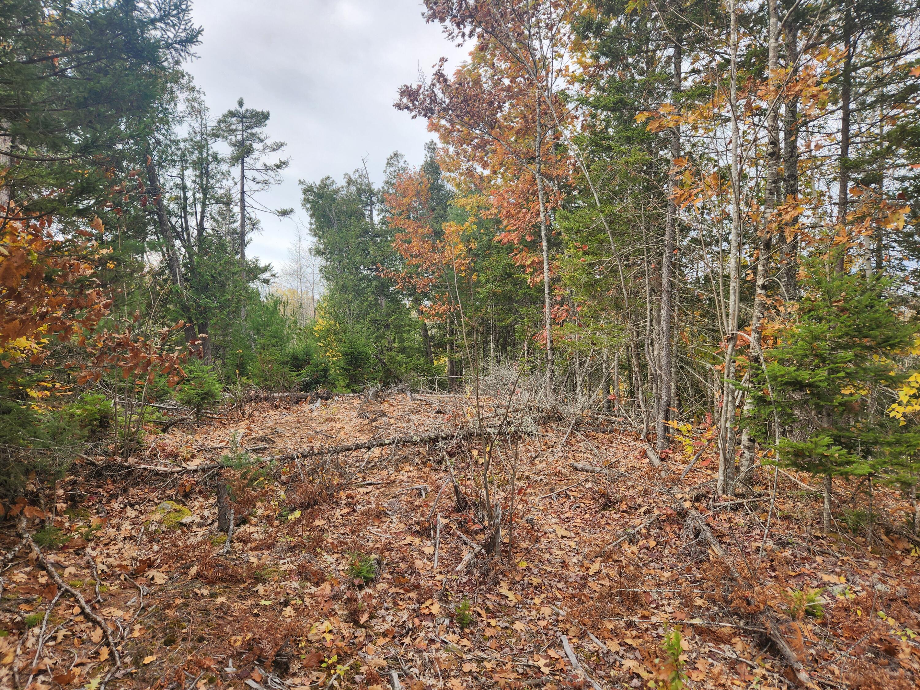 Lot B Blackberry Lane Property Photo 2