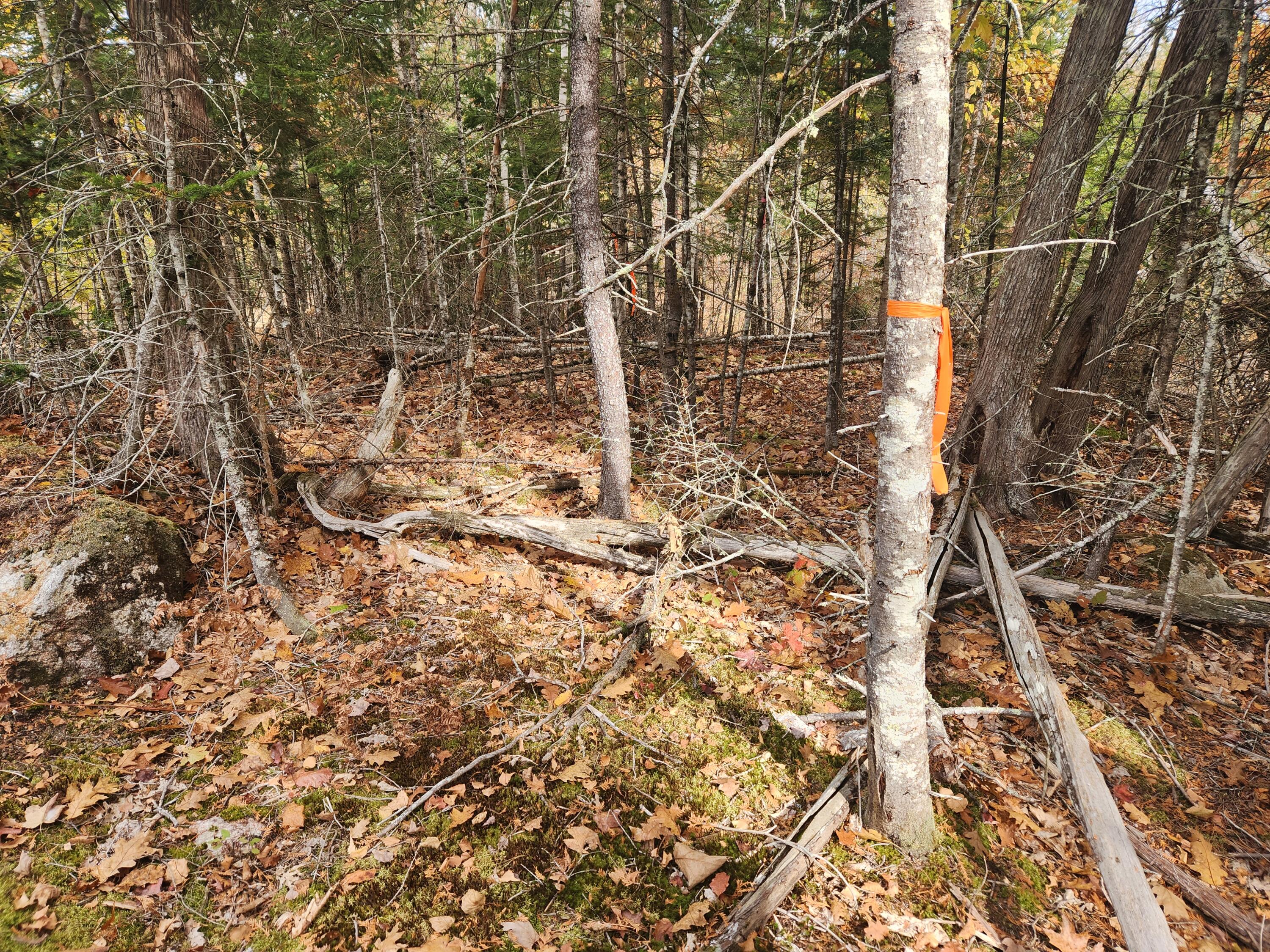 Lot B Blackberry Lane Property Photo 4