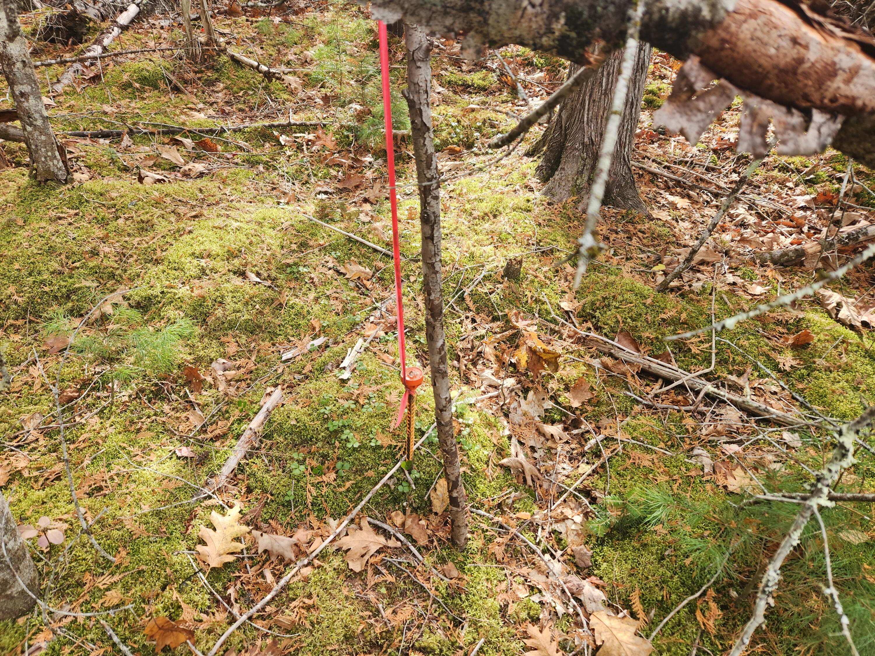 Lot B Blackberry Lane Property Photo 5