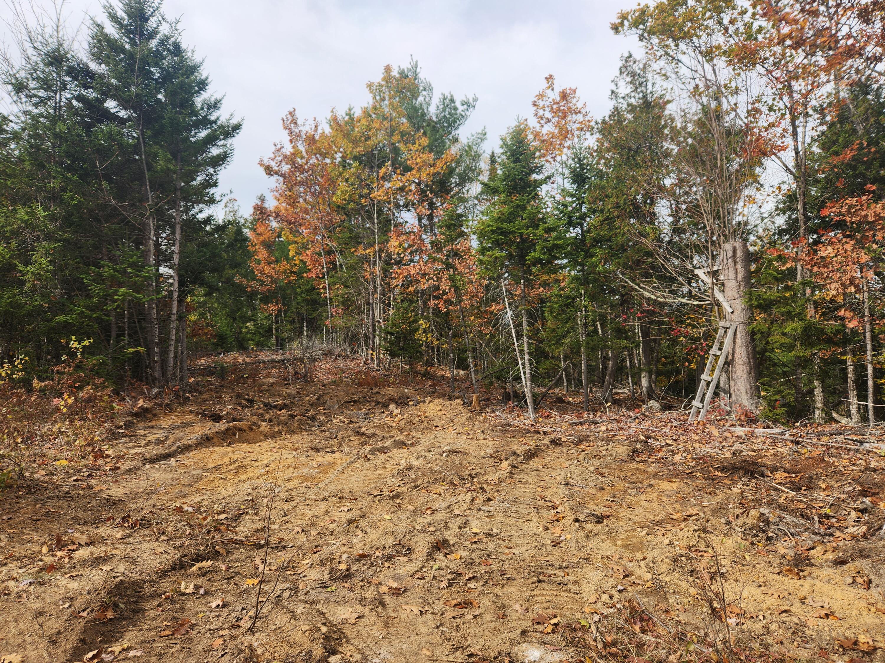 Lot B Blackberry Lane Property Photo 8