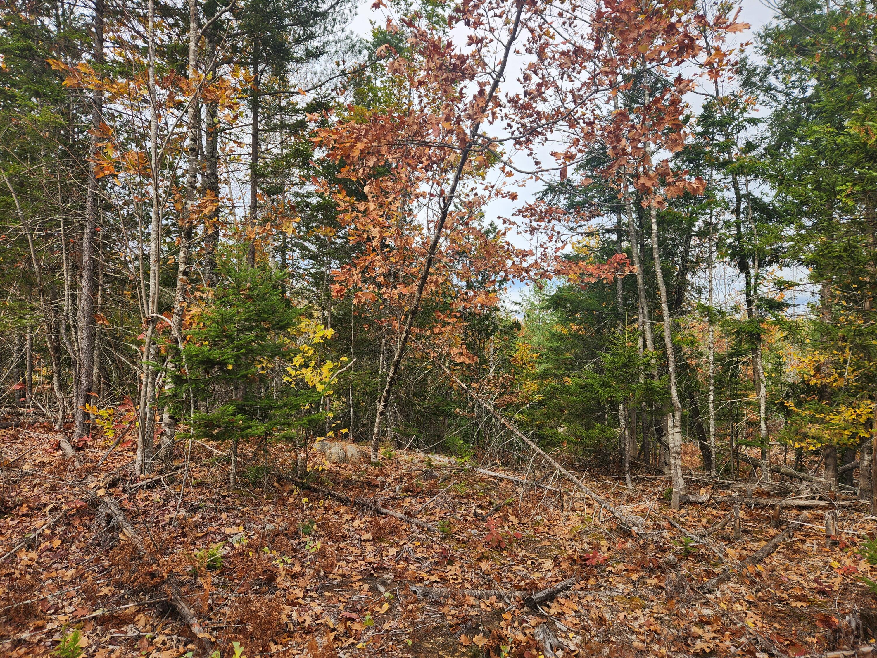 Lot B Blackberry Lane Property Photo 9