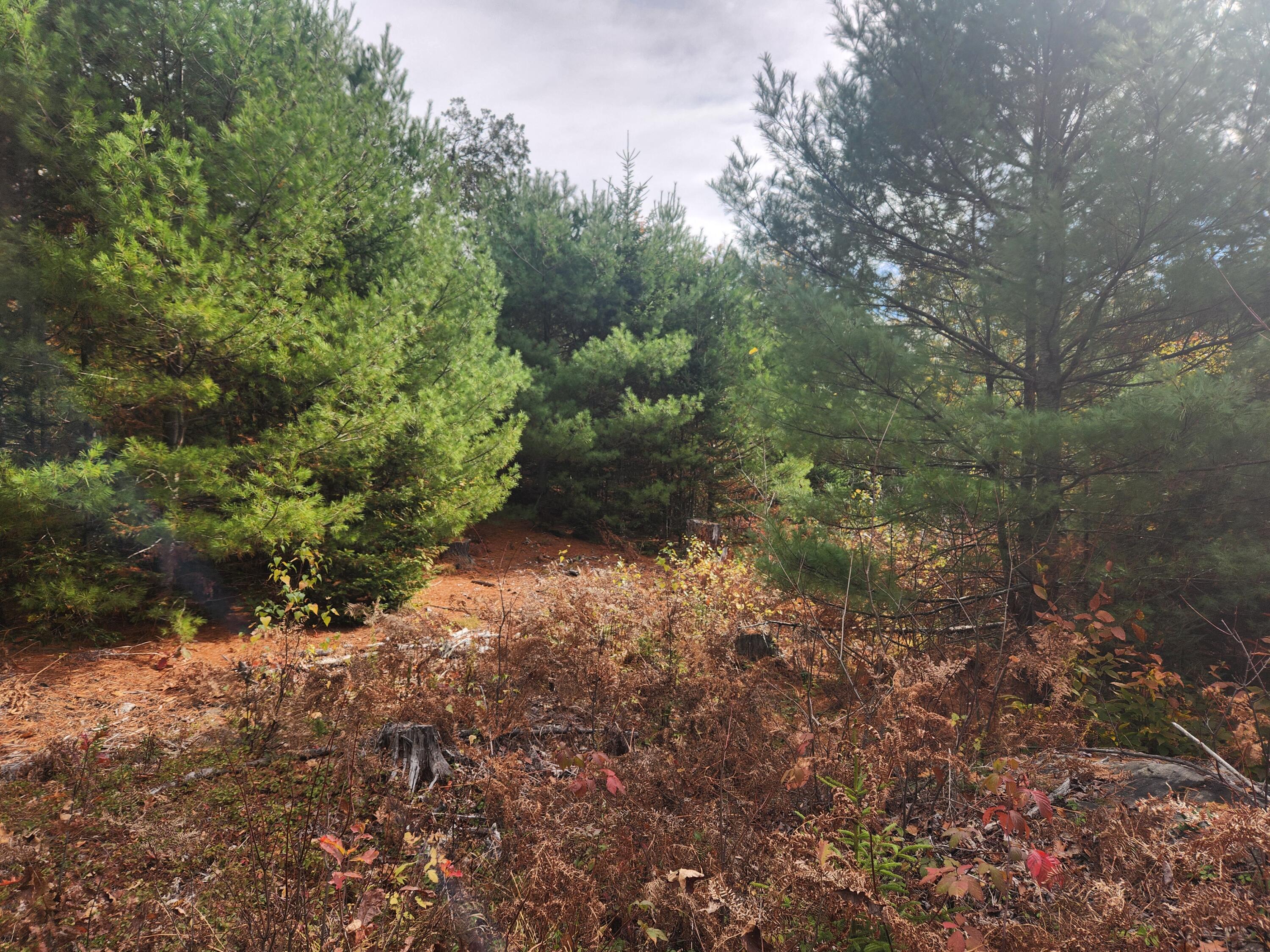 Lot B Blackberry Lane Property Photo 10