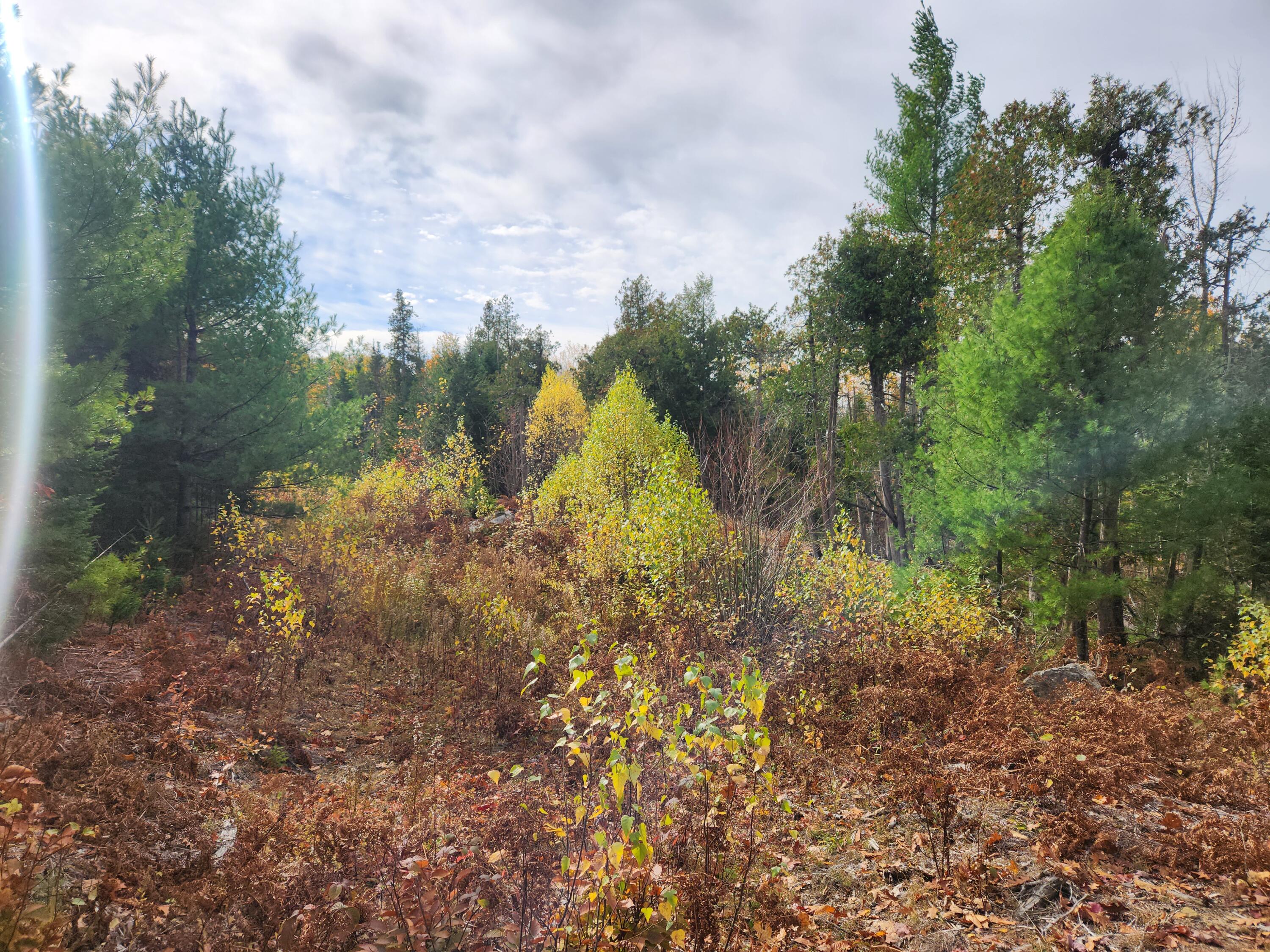 Lot B Blackberry Lane Property Photo 11