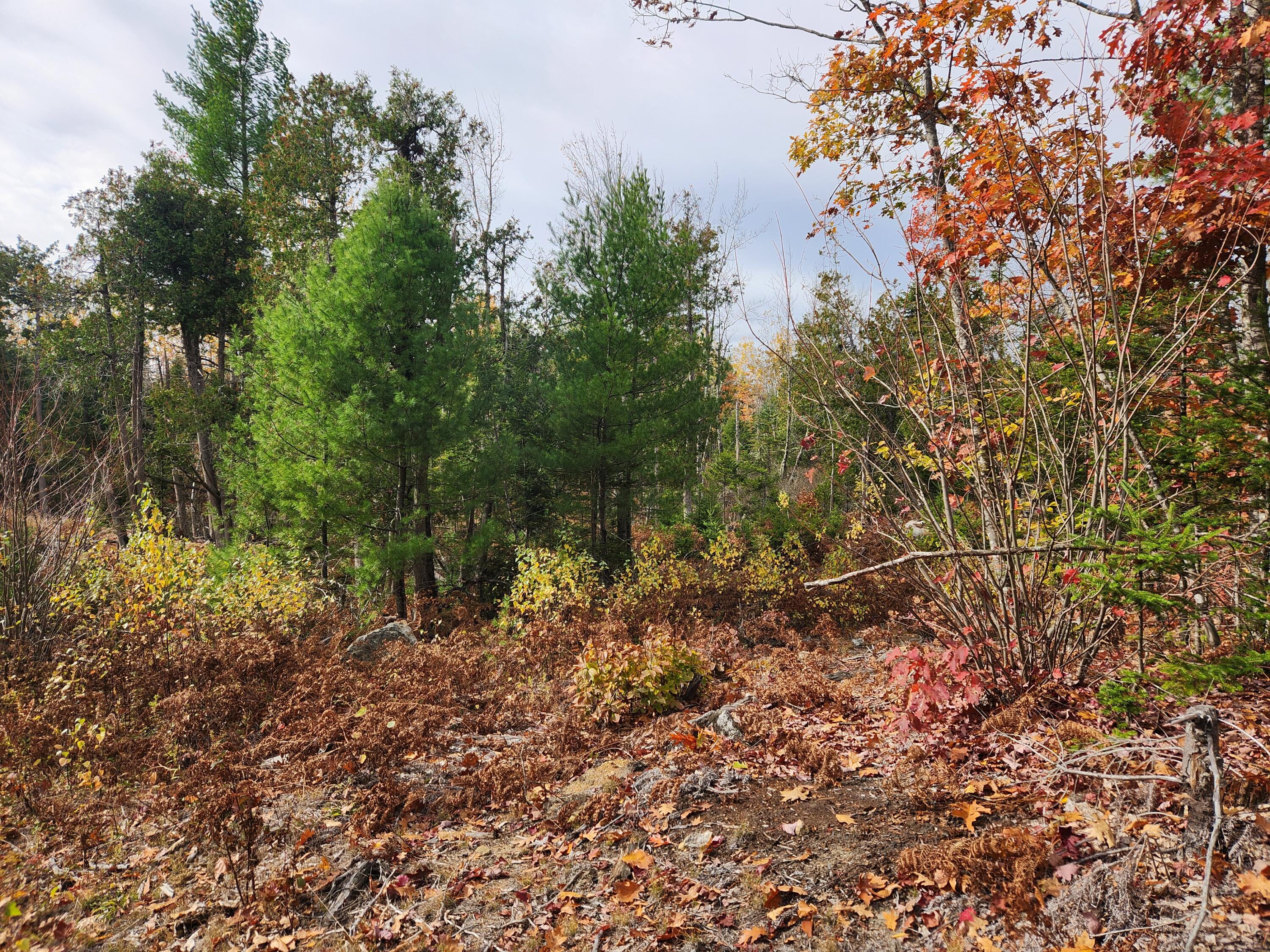 Lot B Blackberry Lane Property Photo 12