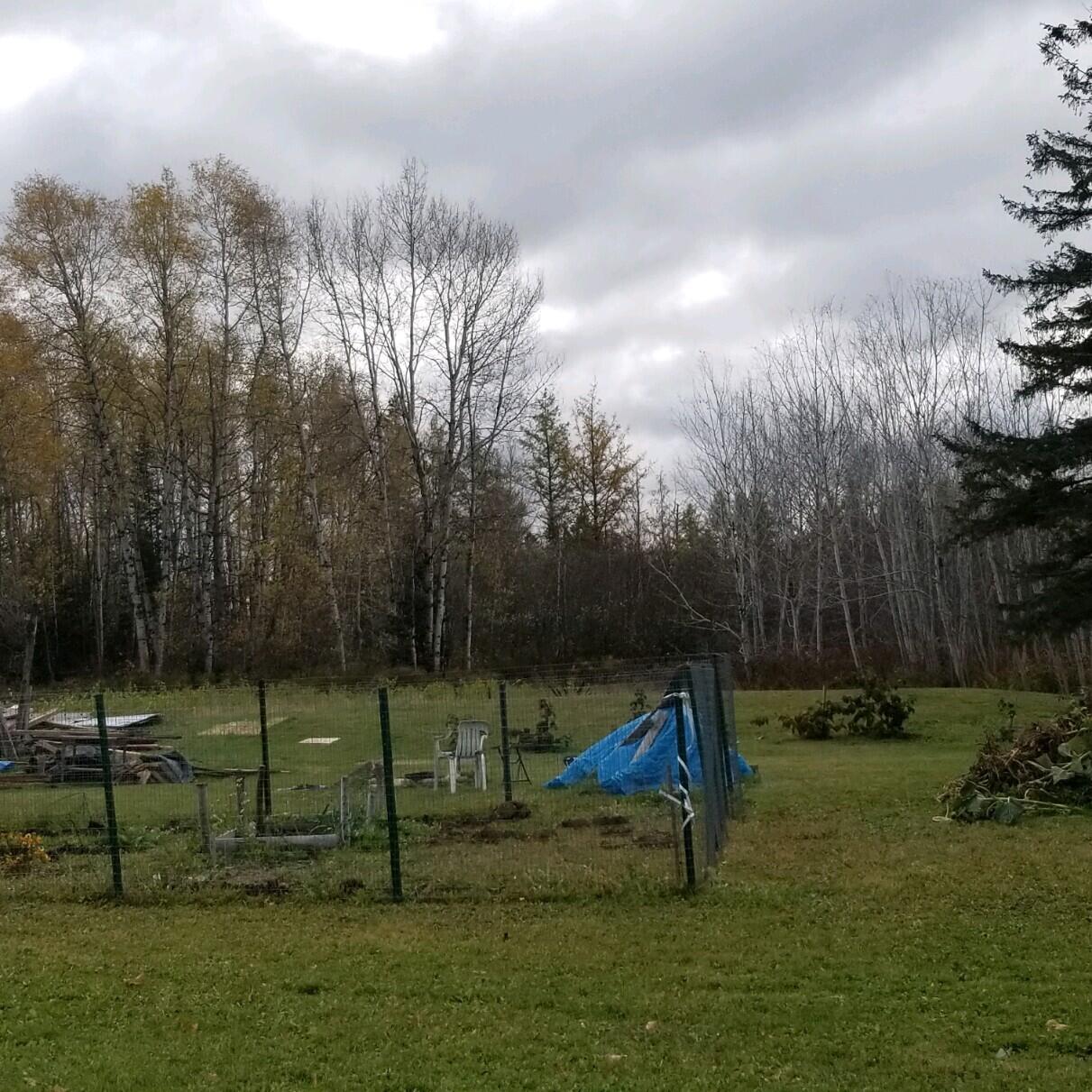 12 Plante Road Property Photo 16