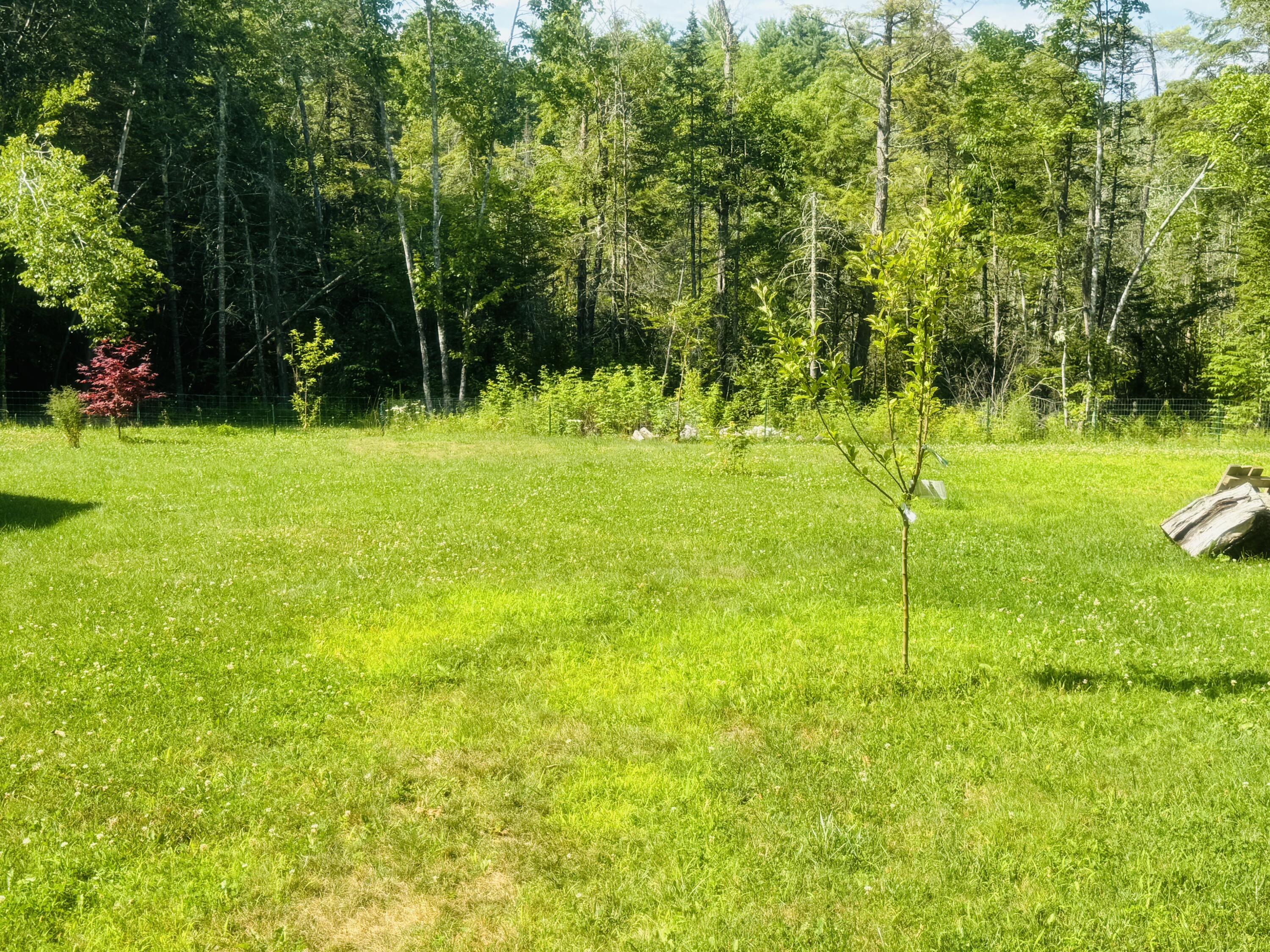 19 Meadow Road Property Photo 13
