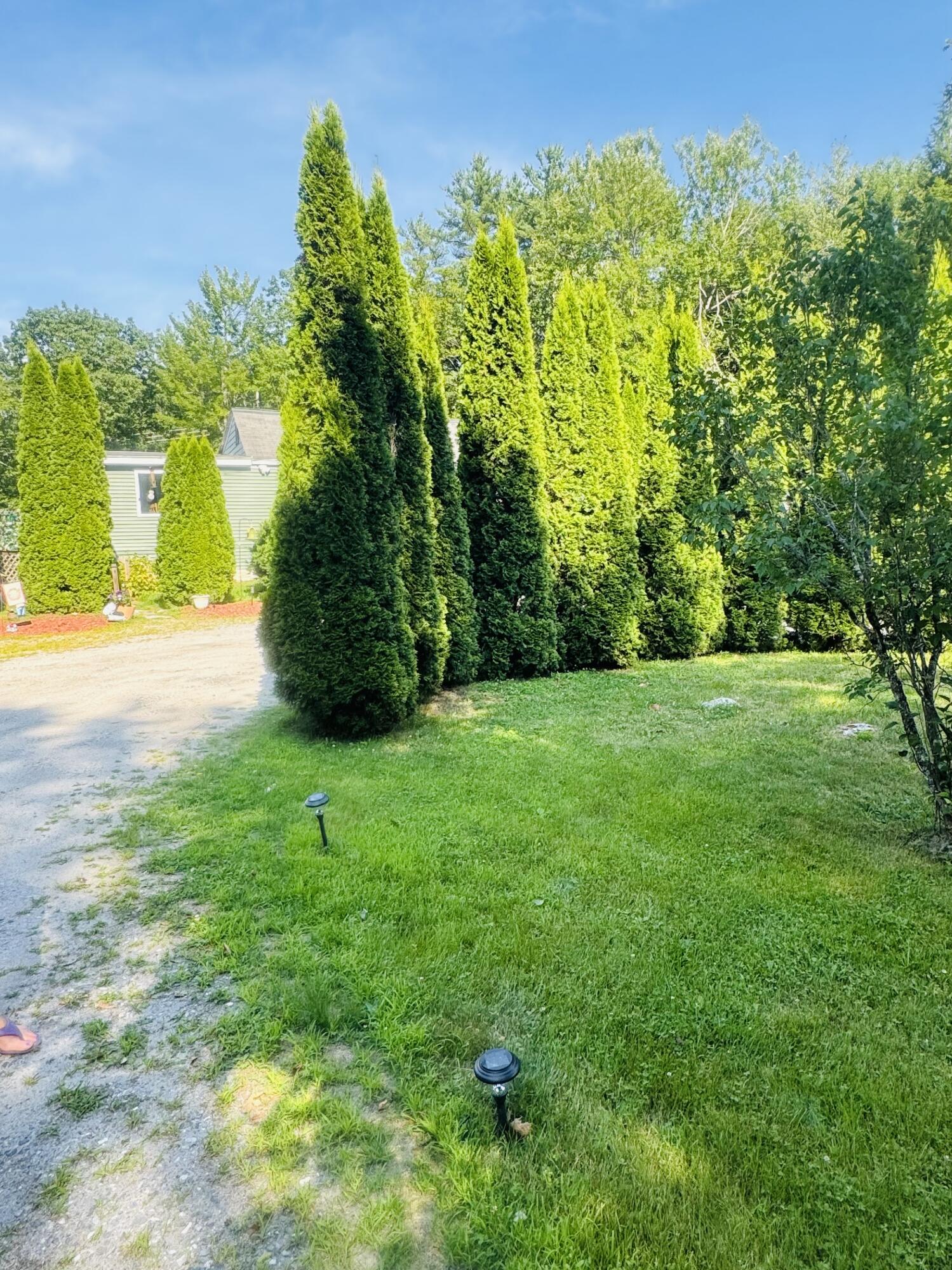 19 Meadow Road Property Photo 35