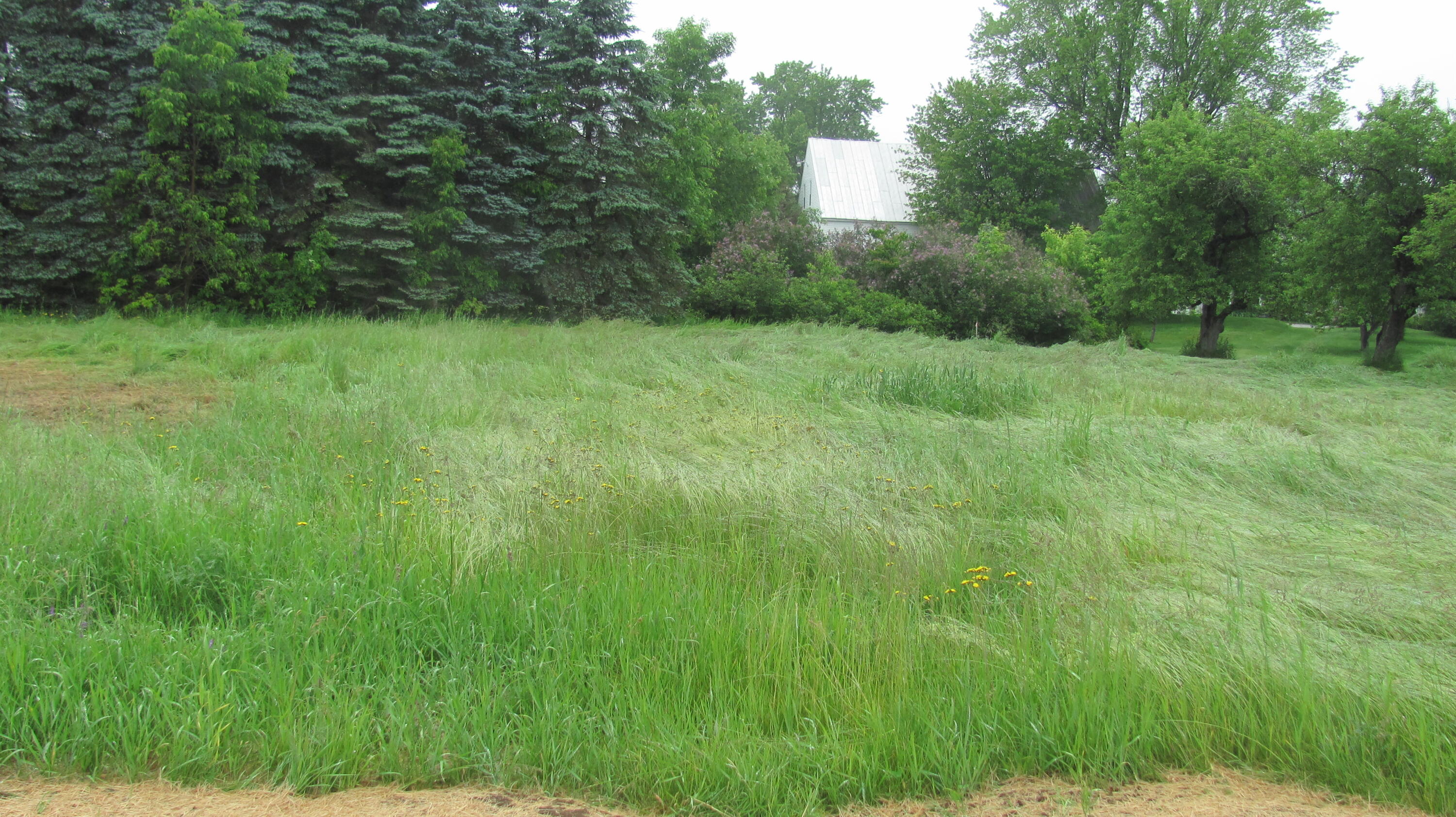 18 Thurlow Drive Property Photo 3