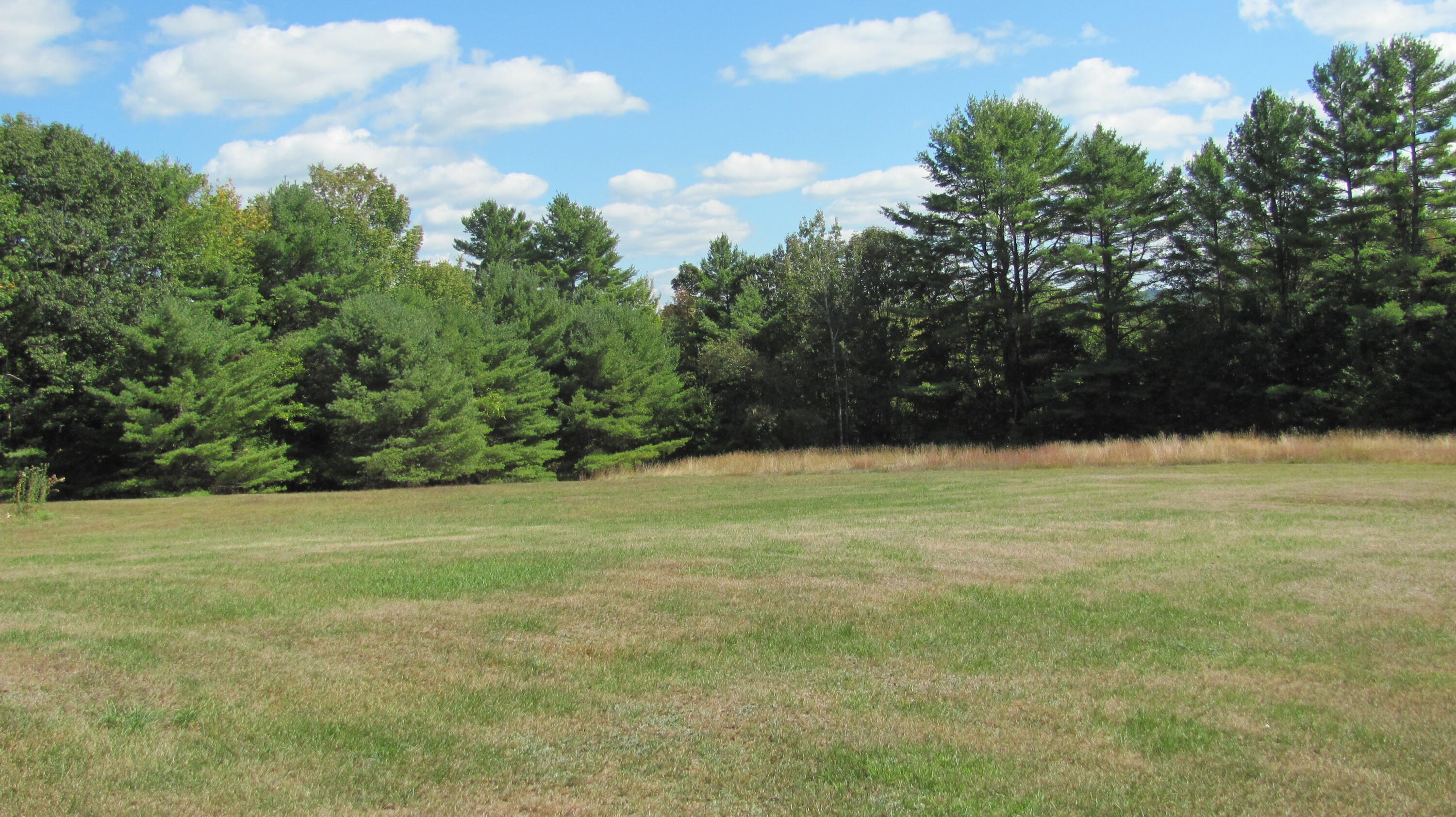 18 Thurlow Drive Property Photo 4