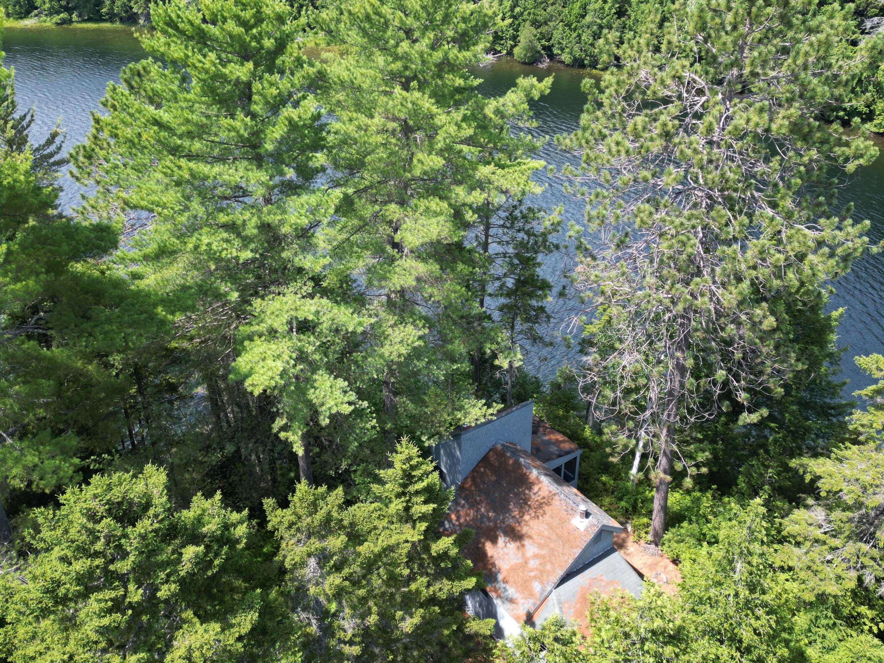 280 Greenwood Pond Road Property Photo 4