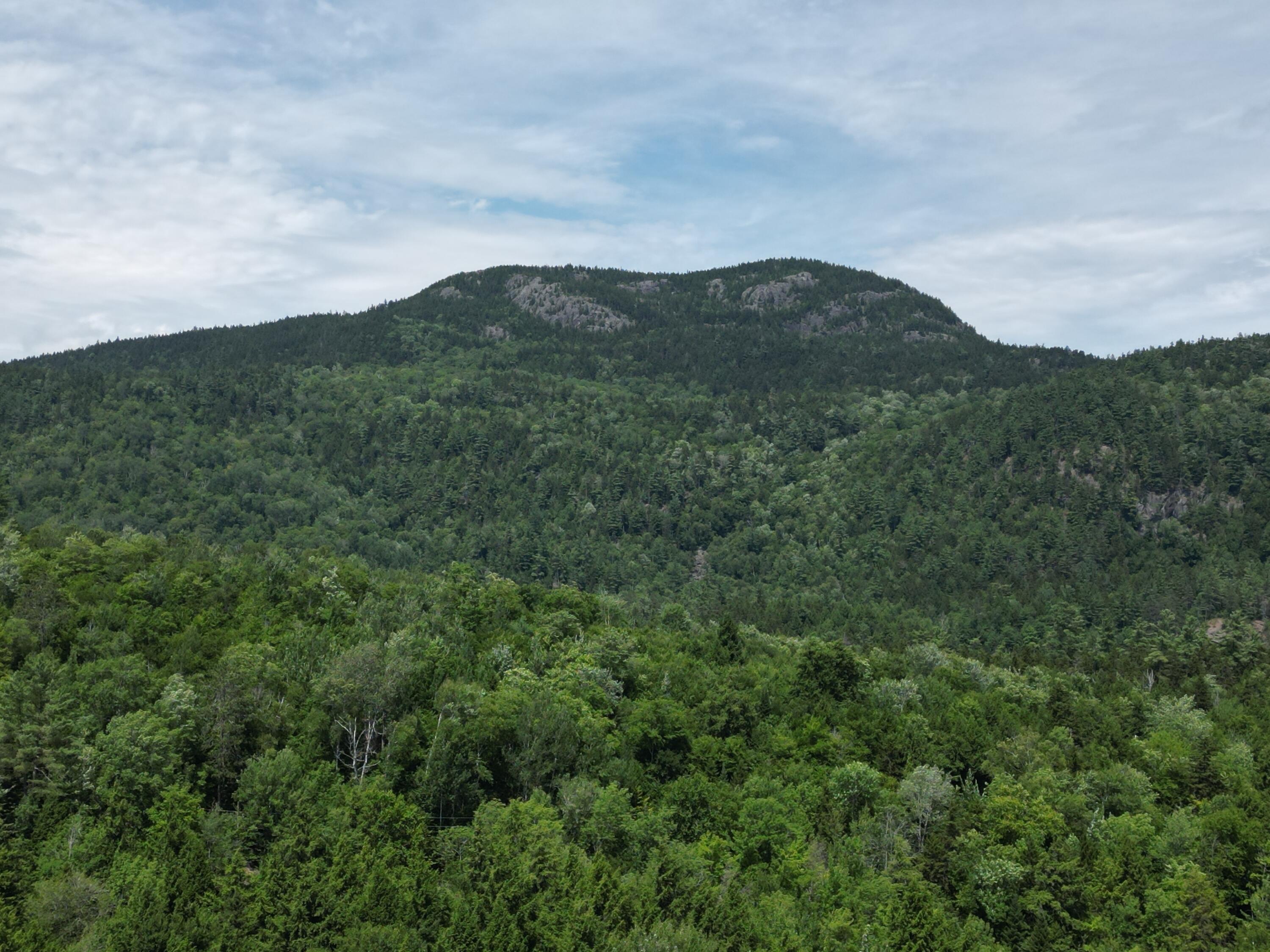 280 Greenwood Pond Road Property Photo 8