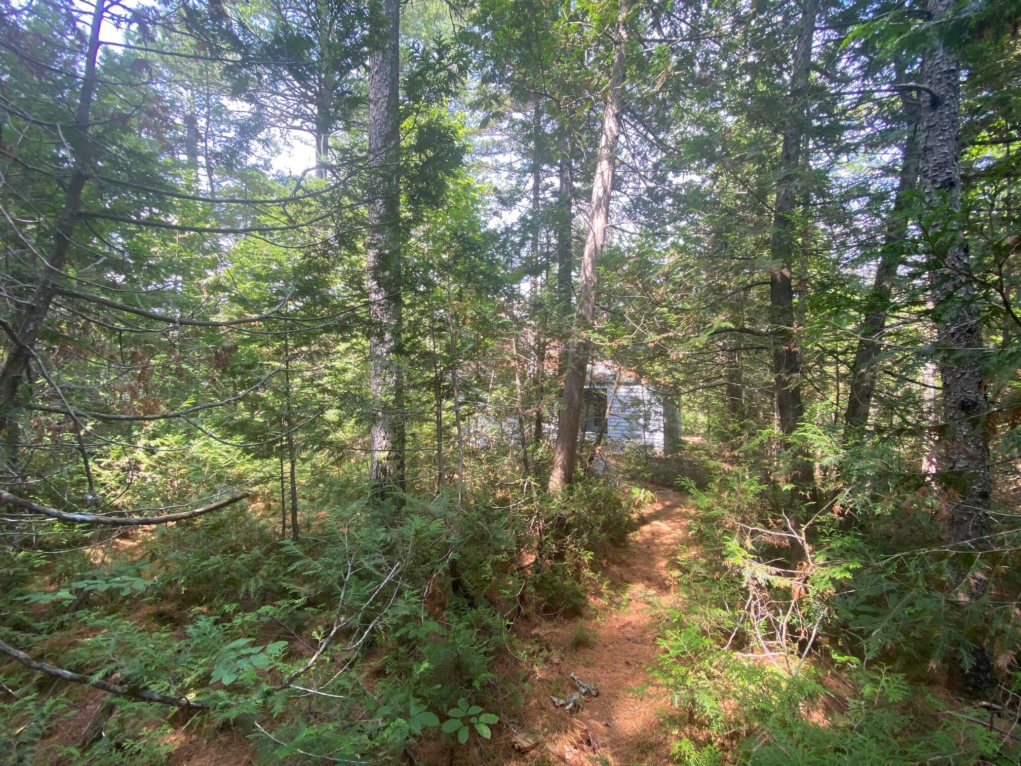 280 Greenwood Pond Road Property Photo 33