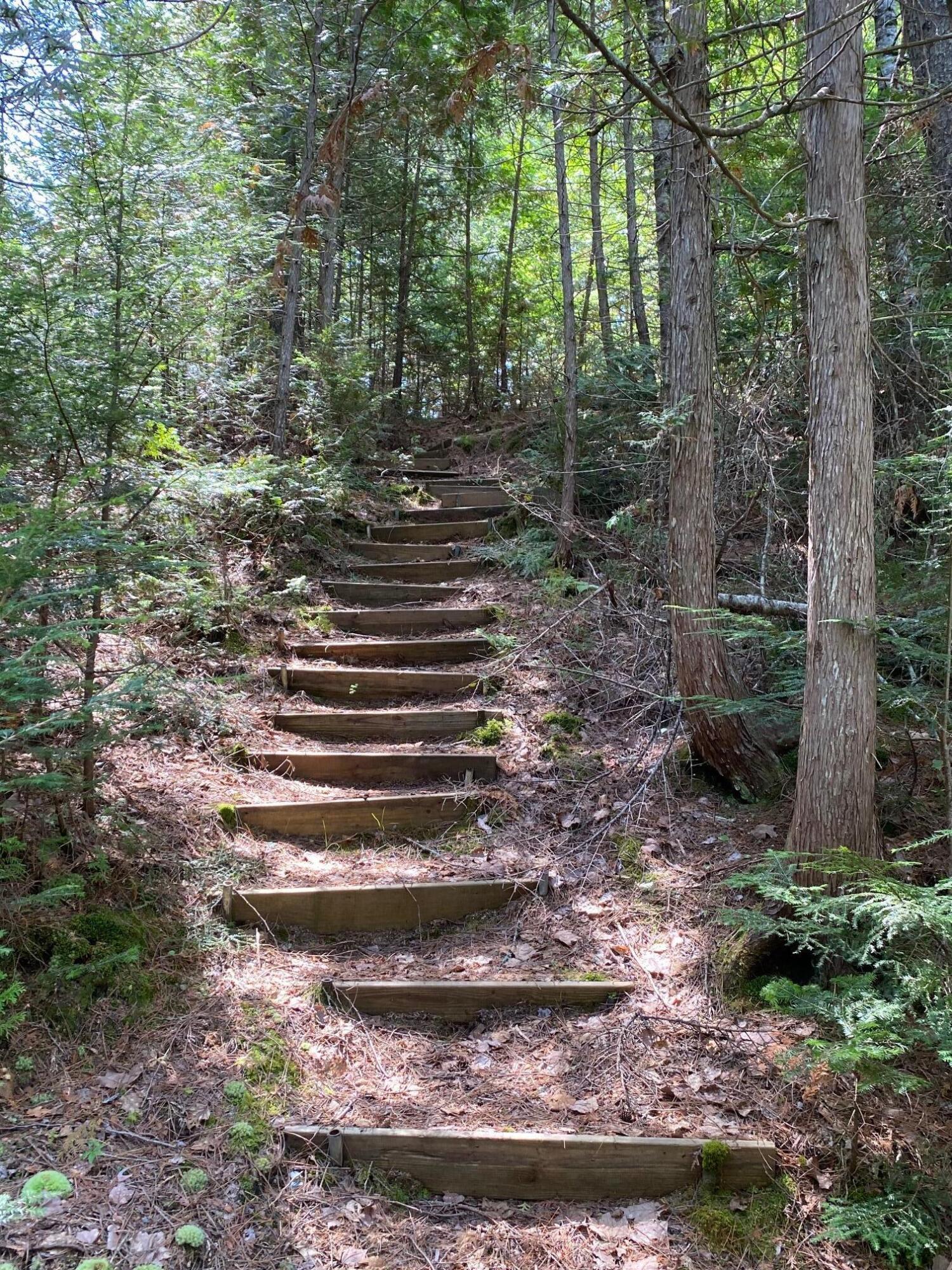 280 Greenwood Pond Road Property Photo 34