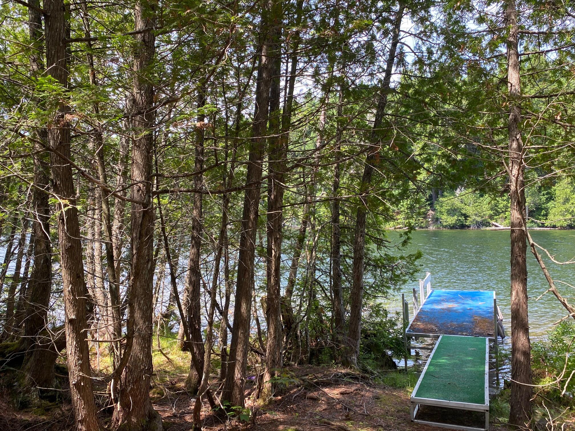 280 Greenwood Pond Road Property Photo 35