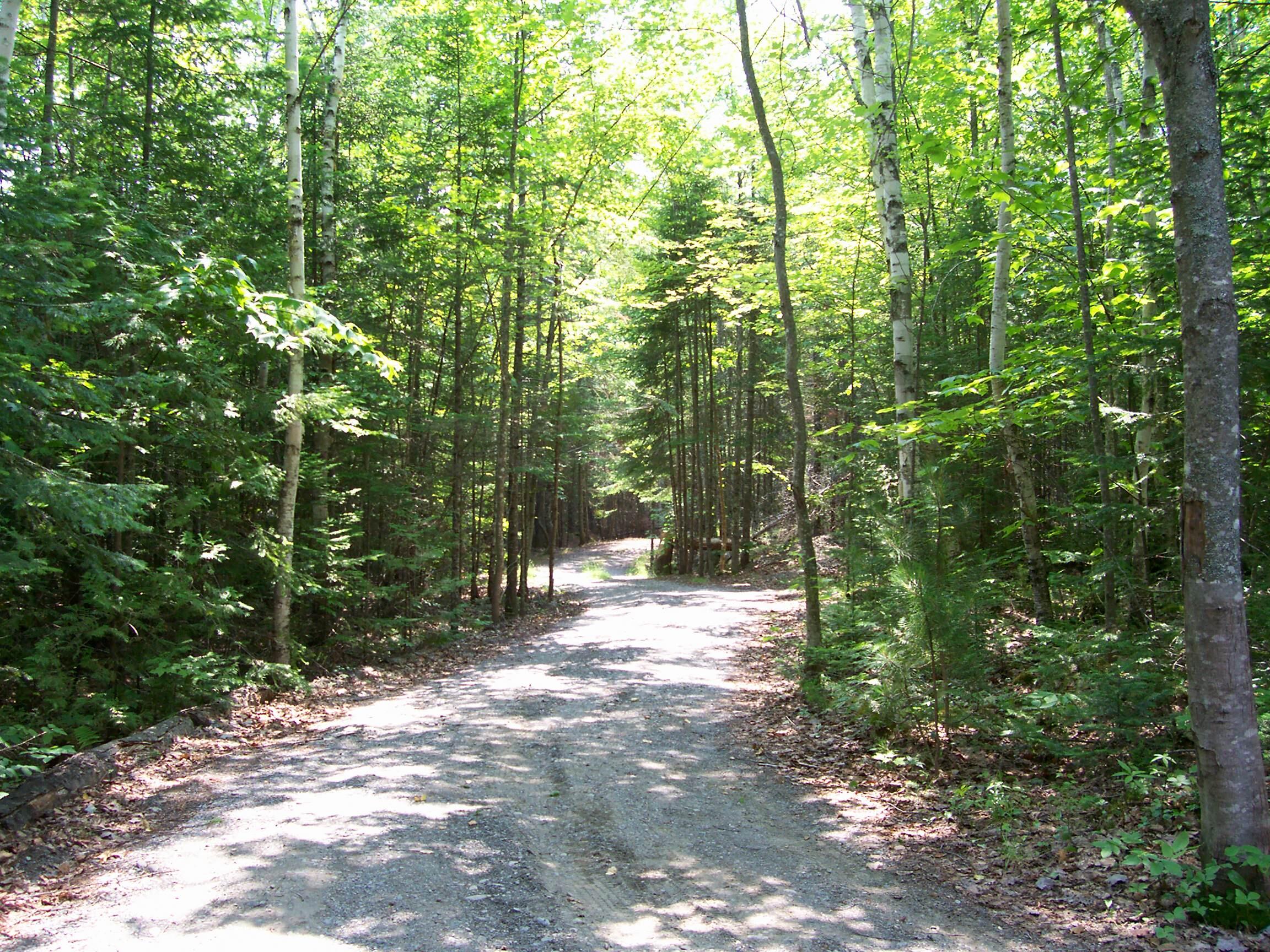 280 Greenwood Pond Road Property Photo 39