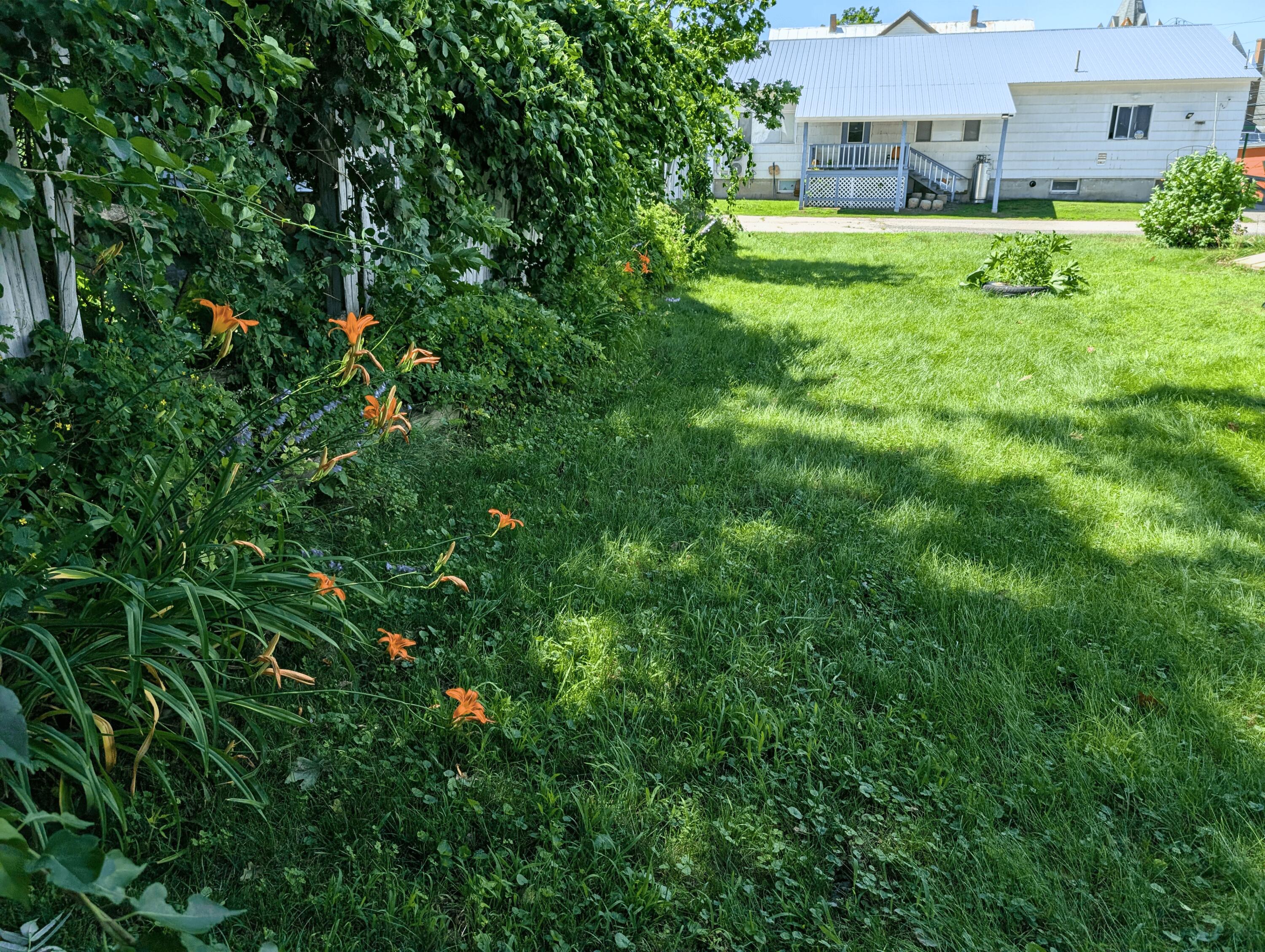 11 Baldwin Street Property Photo 39