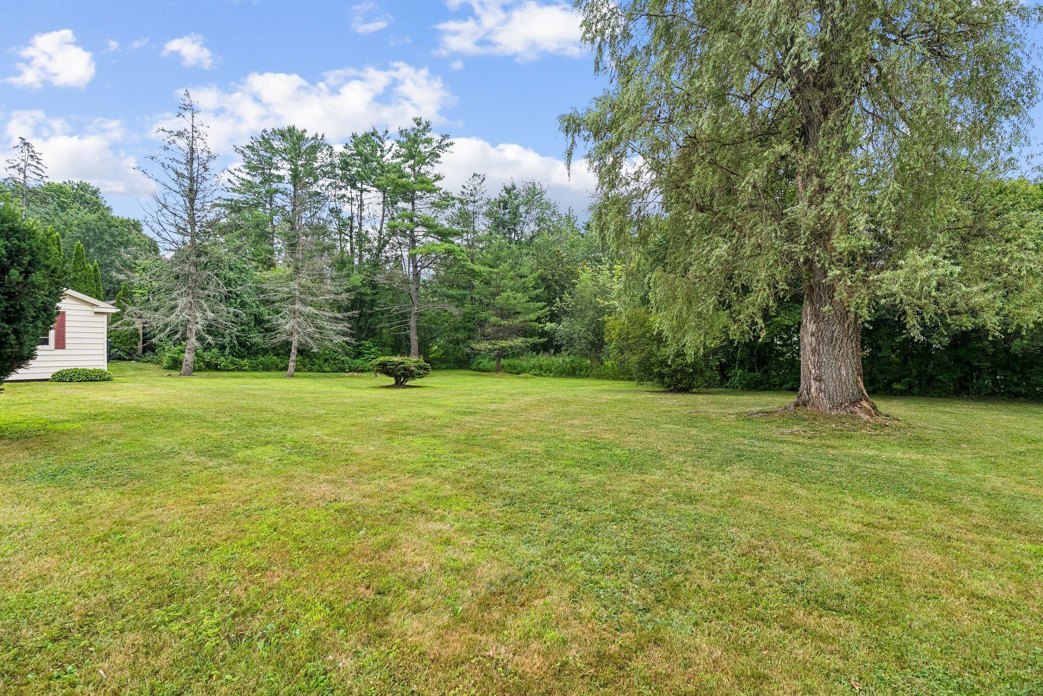 1174 Washington Avenue Property Photo 19