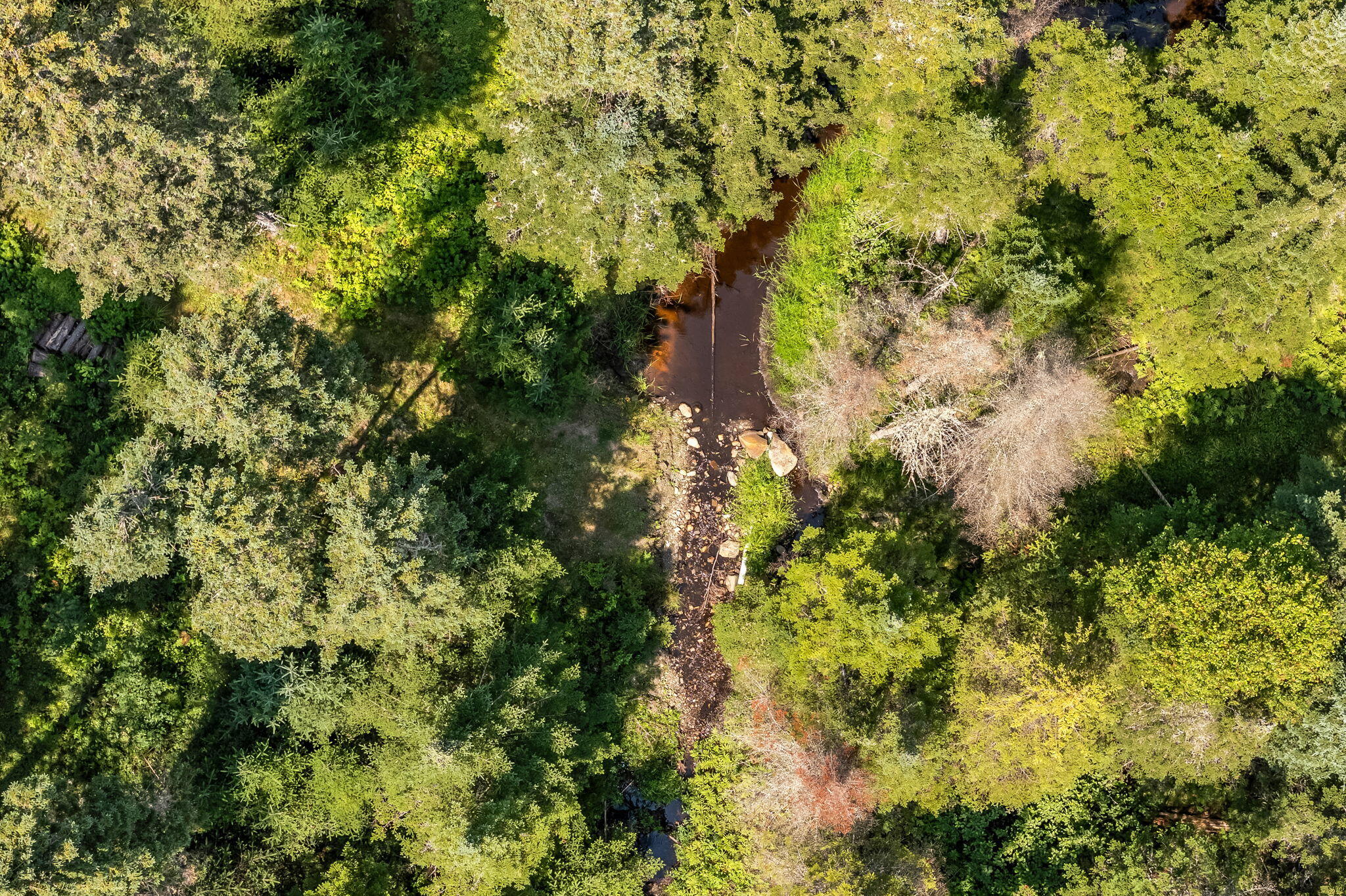 658 Mingo Loop Road Property Photo 74
