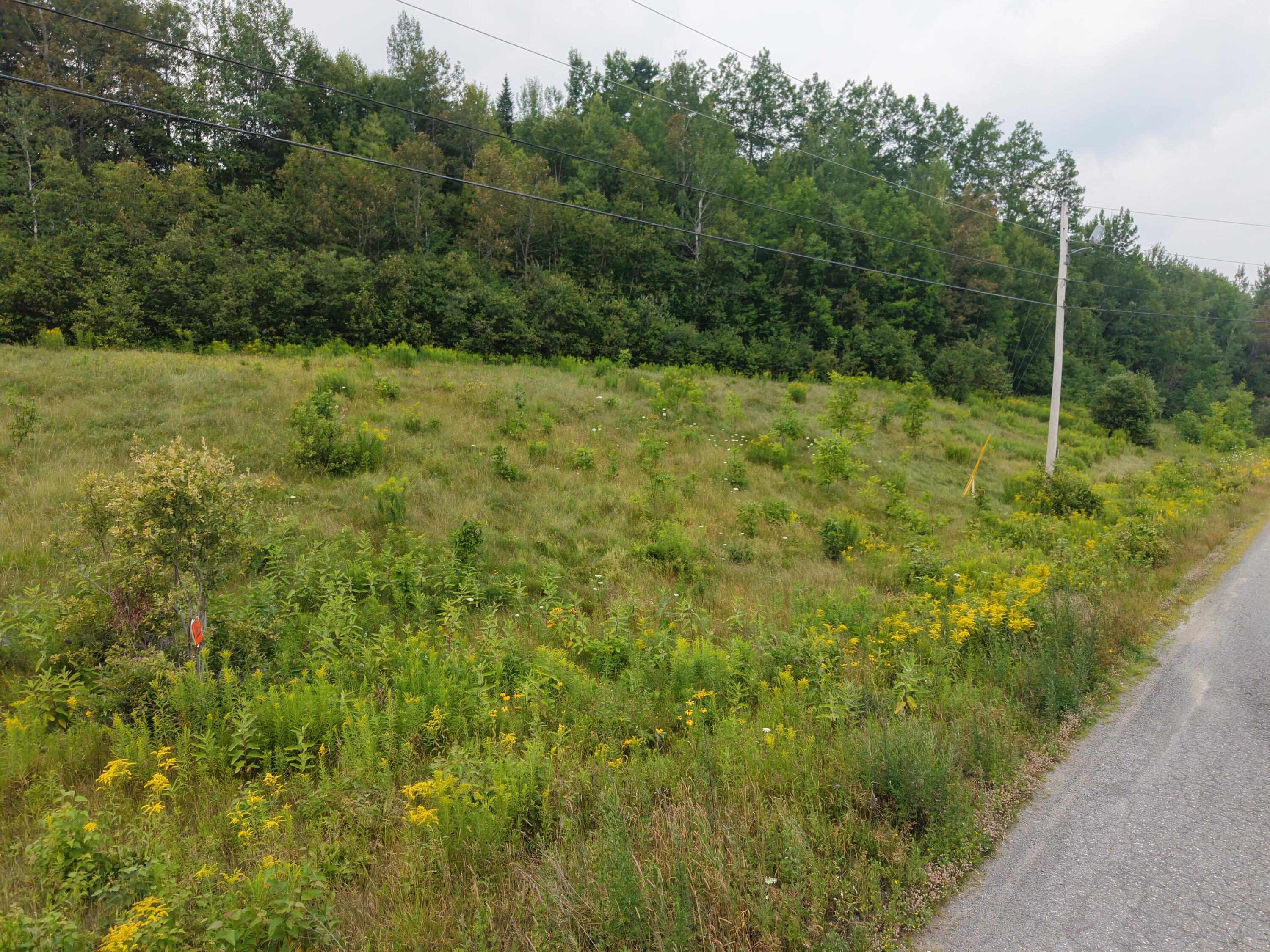 Mpi8 L4-1.15 Industrial Park Road Property Photo 15