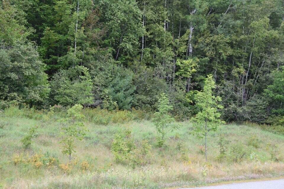 Mpi8 L4-1.15 Industrial Park Road Property Photo 19