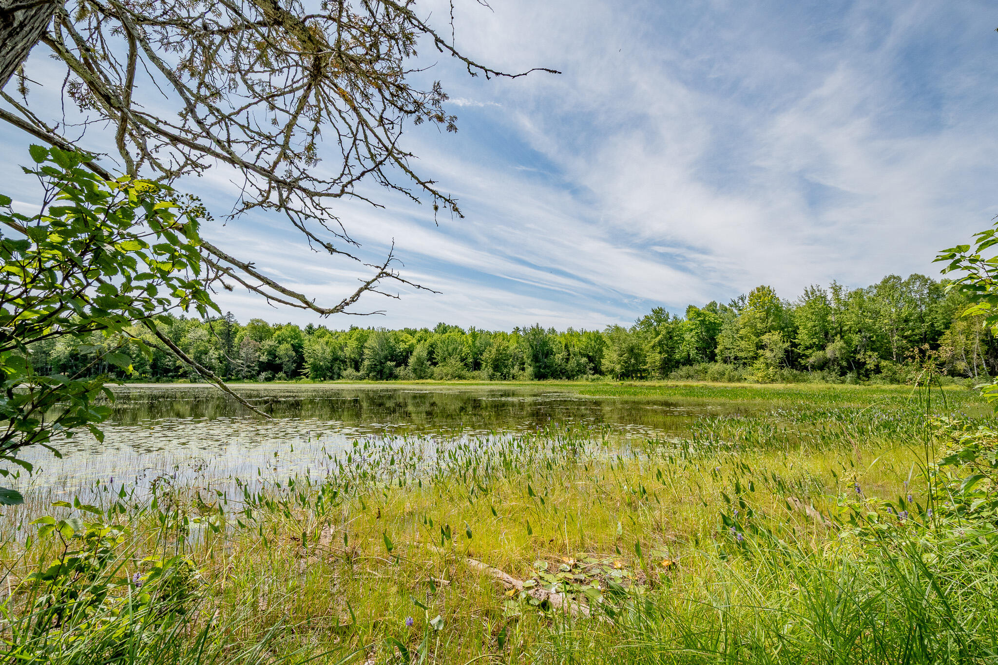 1 Sebec River Island Property Photo 41