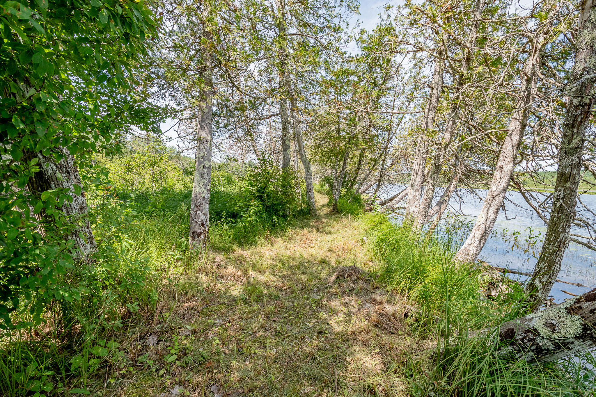 1 Sebec River Island Property Photo 44