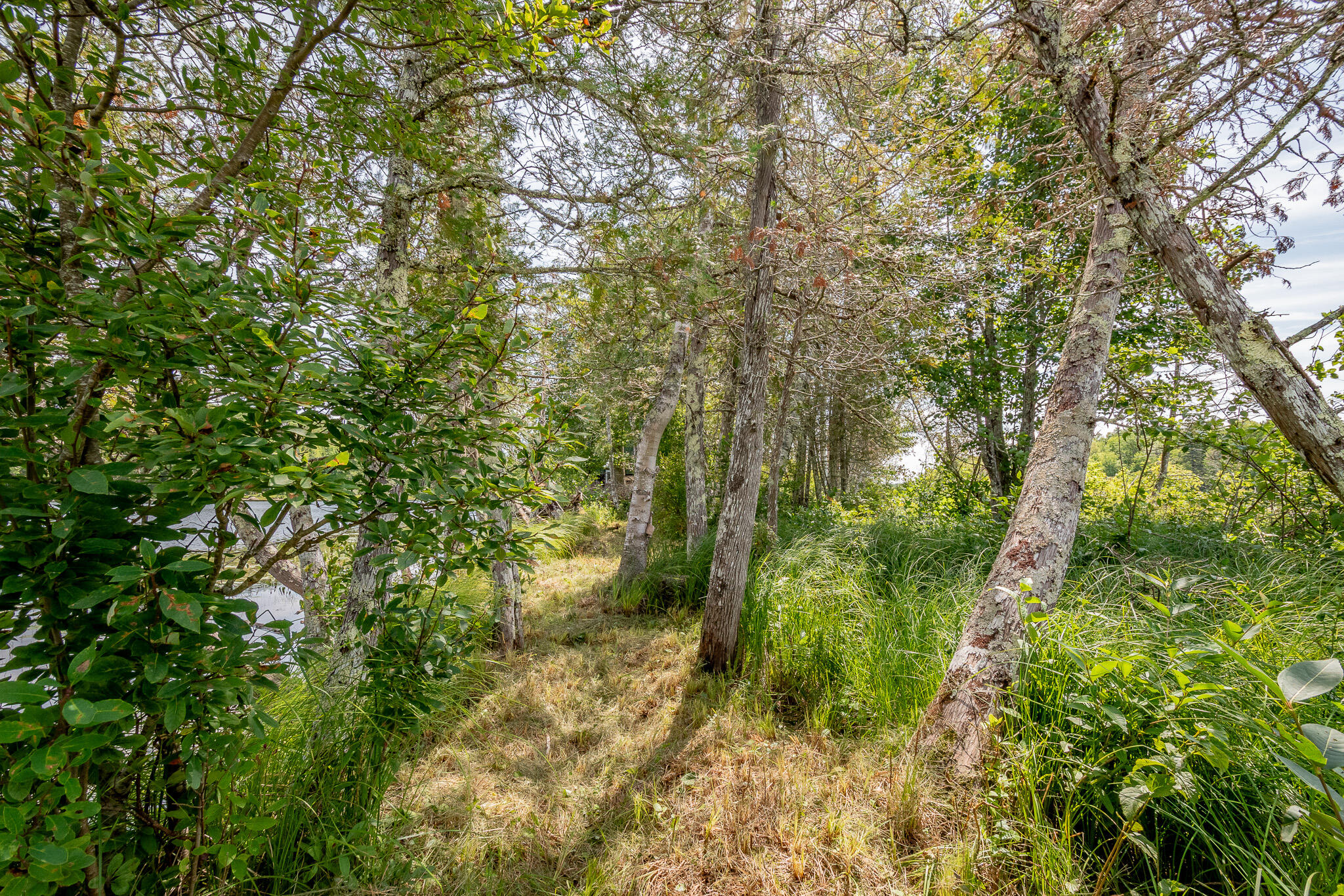 1 Sebec River Island Property Photo 46