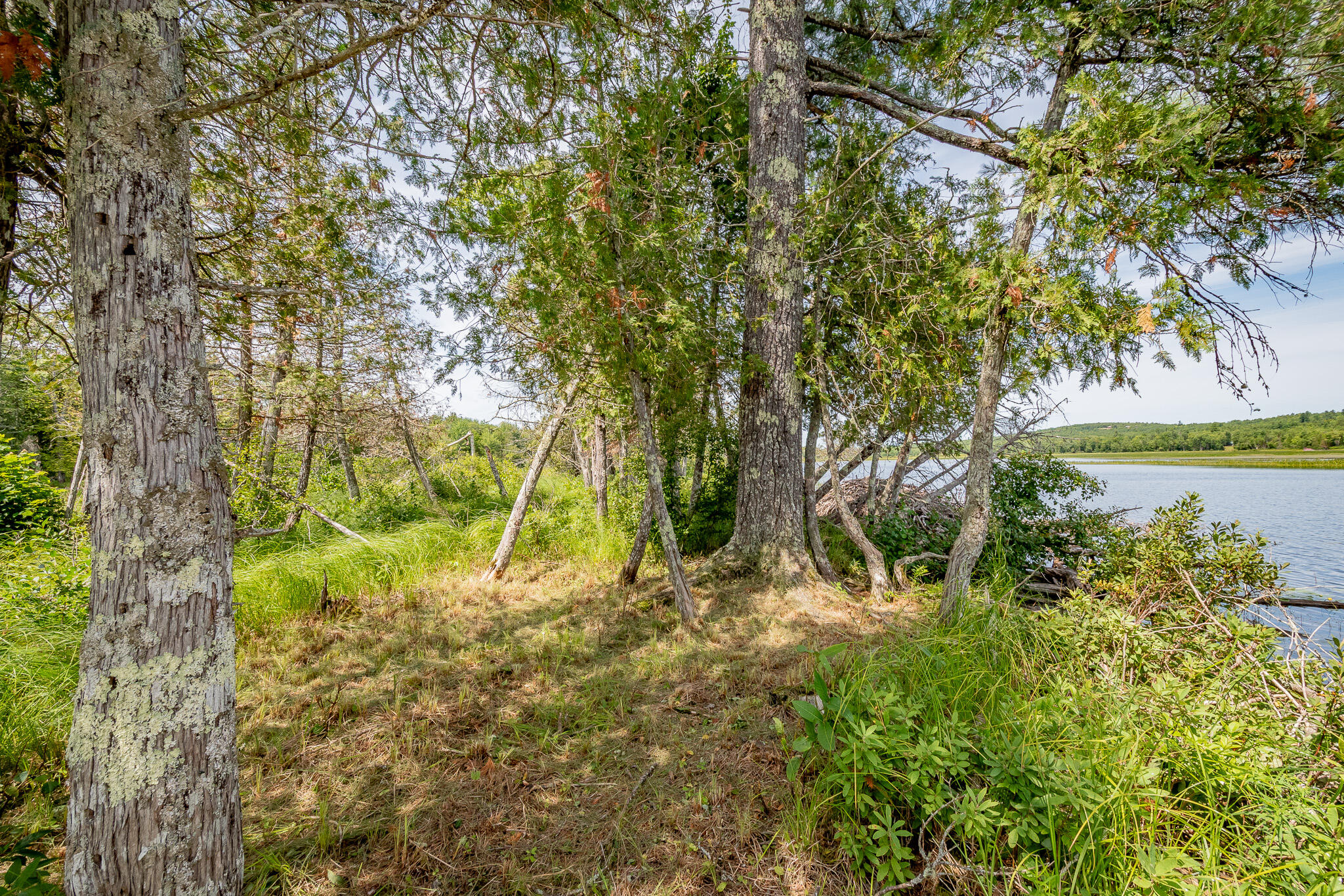 1 Sebec River Island Property Photo 49