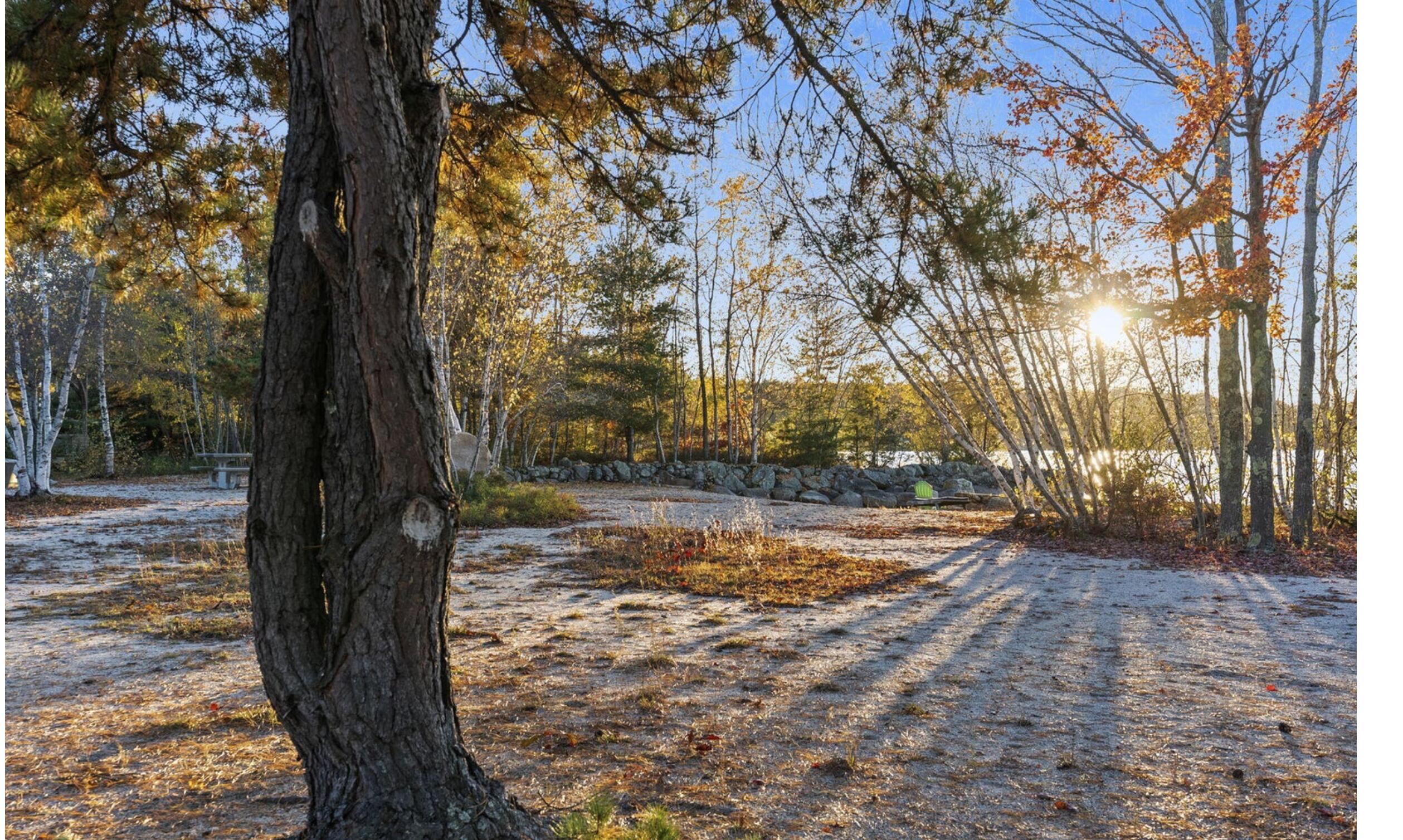 3 Shamrock Lane Property Photo 62