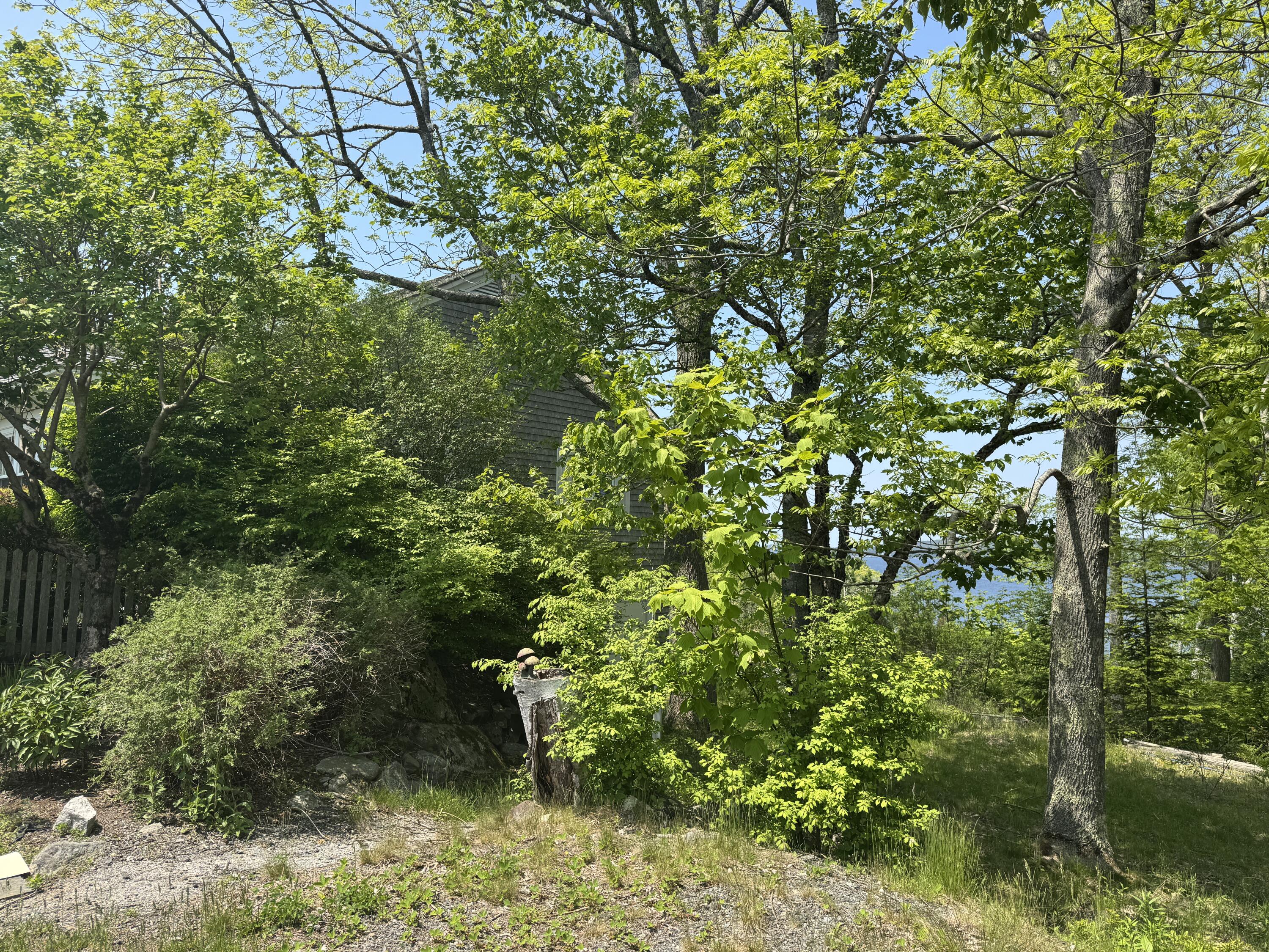 36 Wiegand Place Property Photo 27