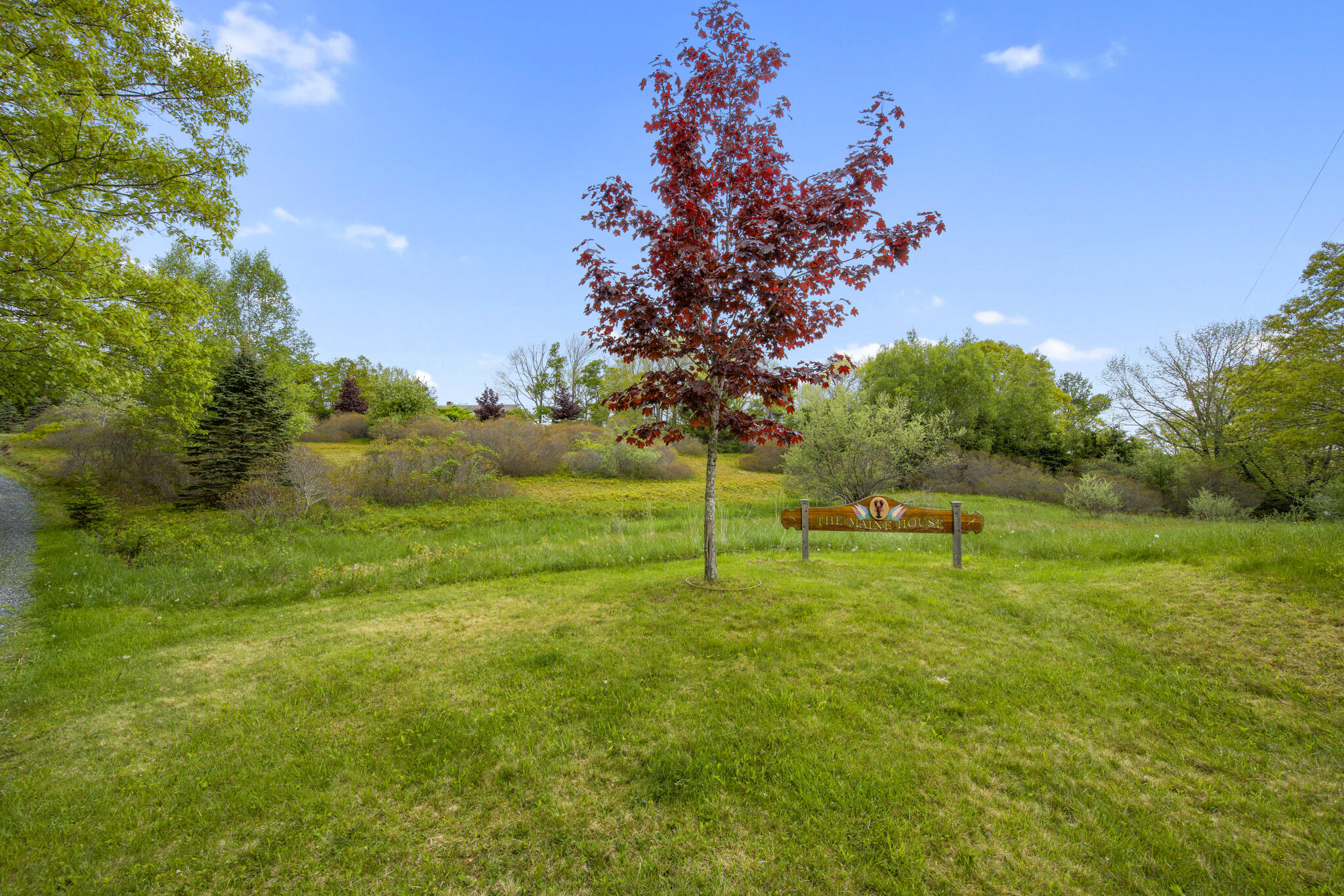 36 Wiegand Place Property Photo 98