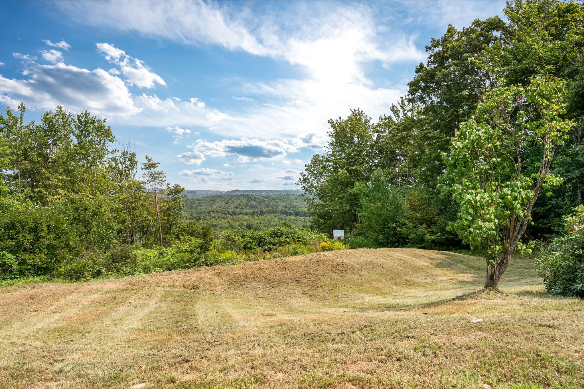 987 Upper Street Property Photo 40