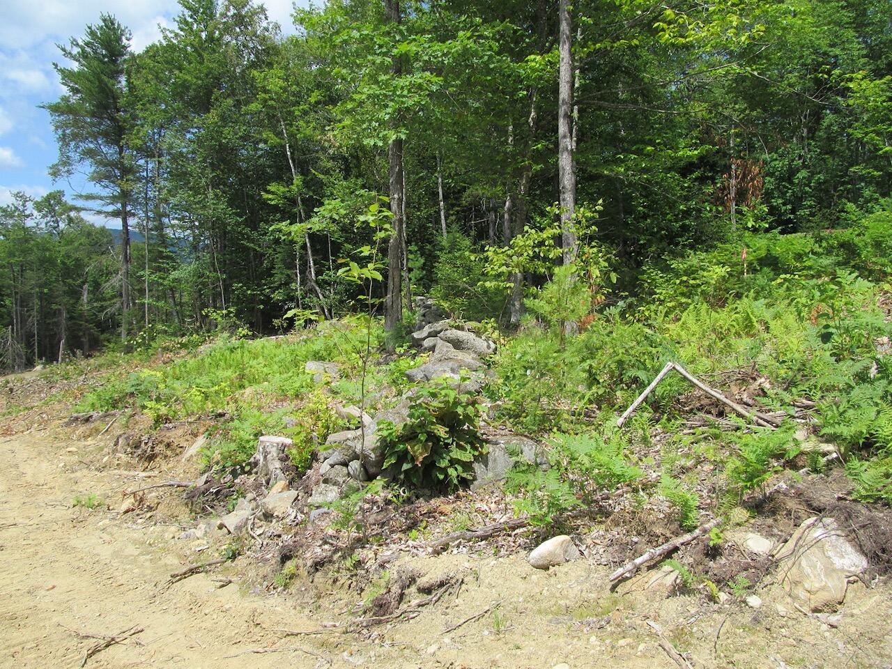 37-2 Brown Neighborhood Road Property Photo 9