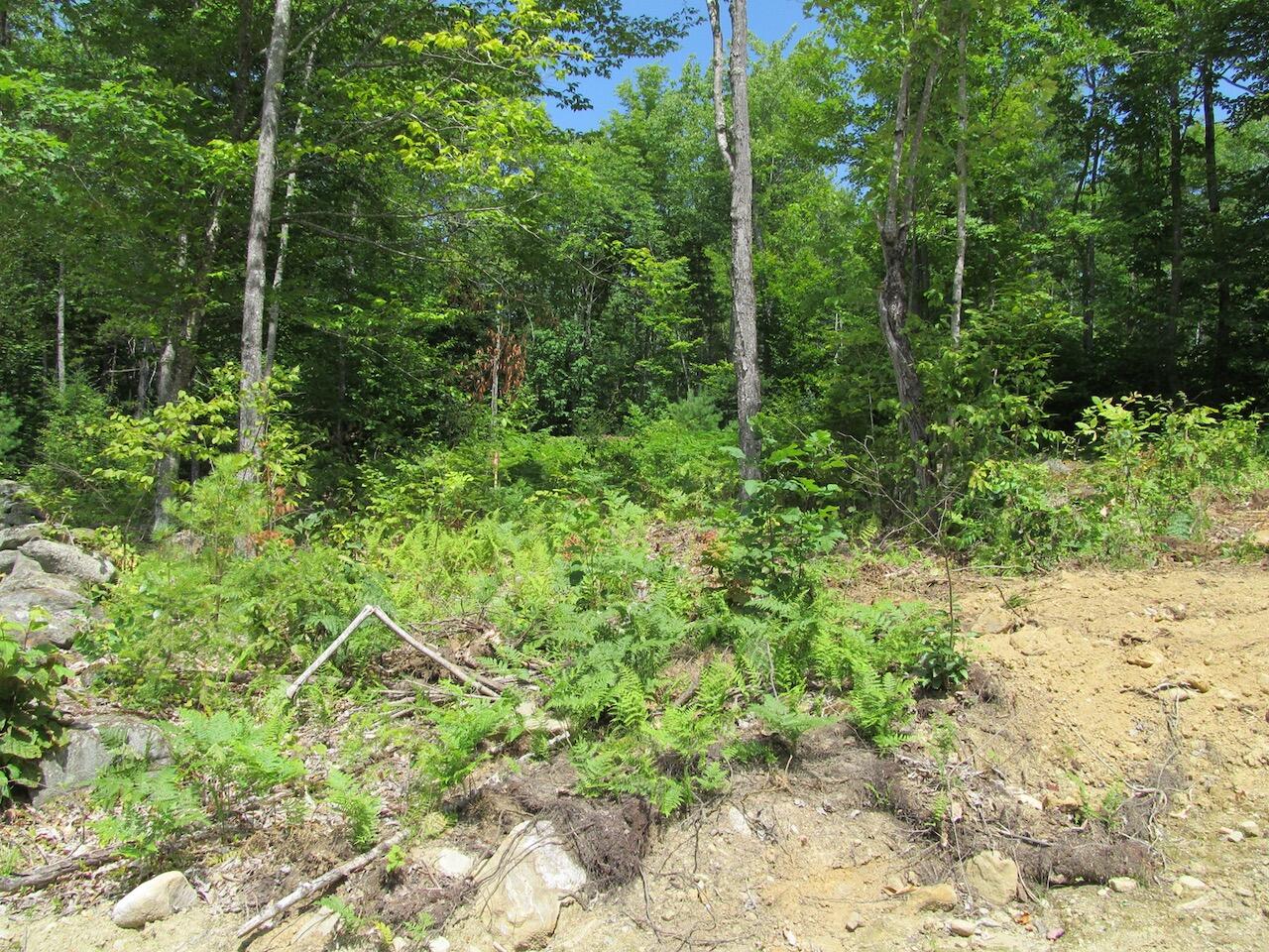 37-2 Brown Neighborhood Road Property Photo 10
