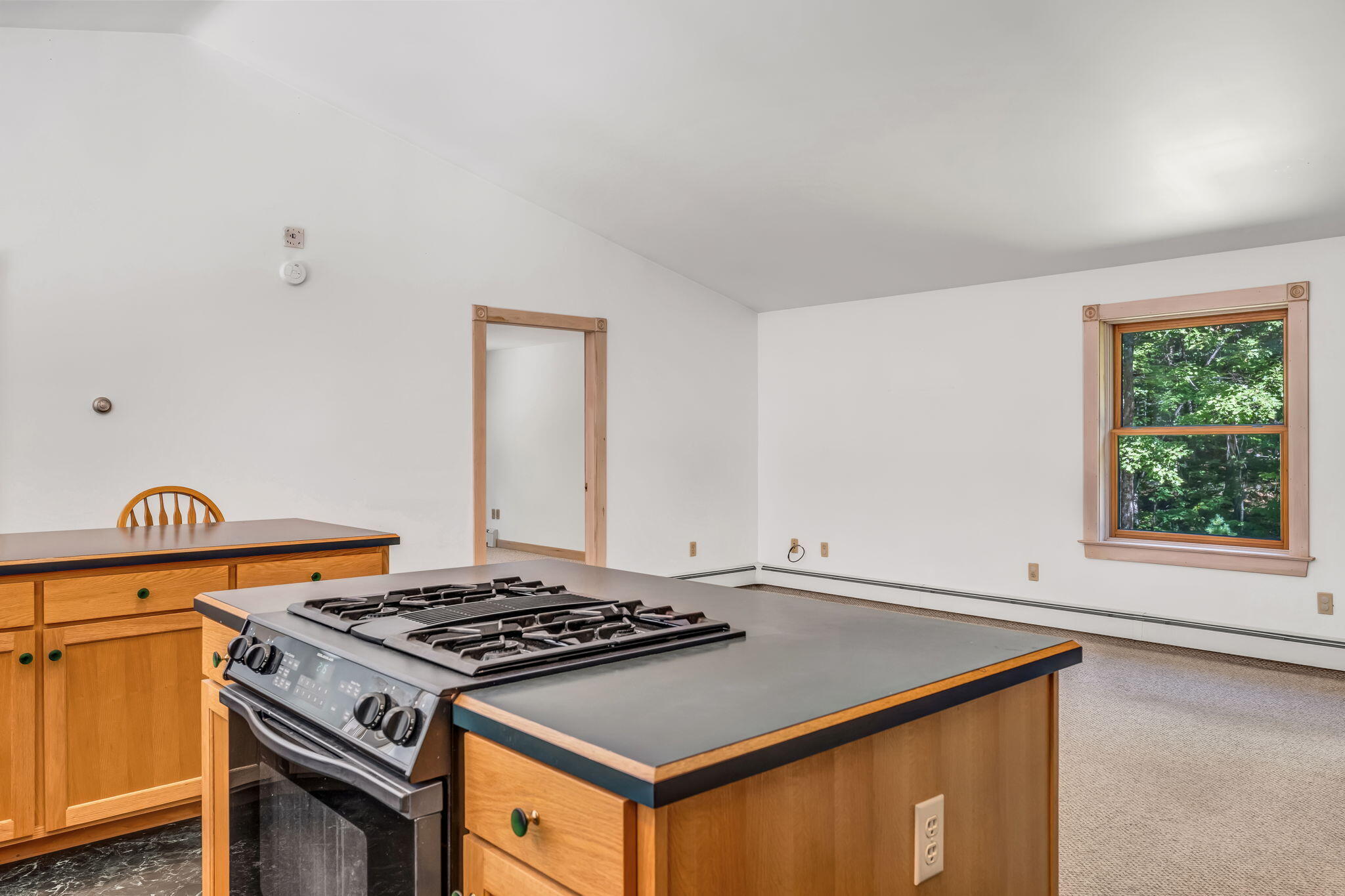 150 River Road Property Photo 48