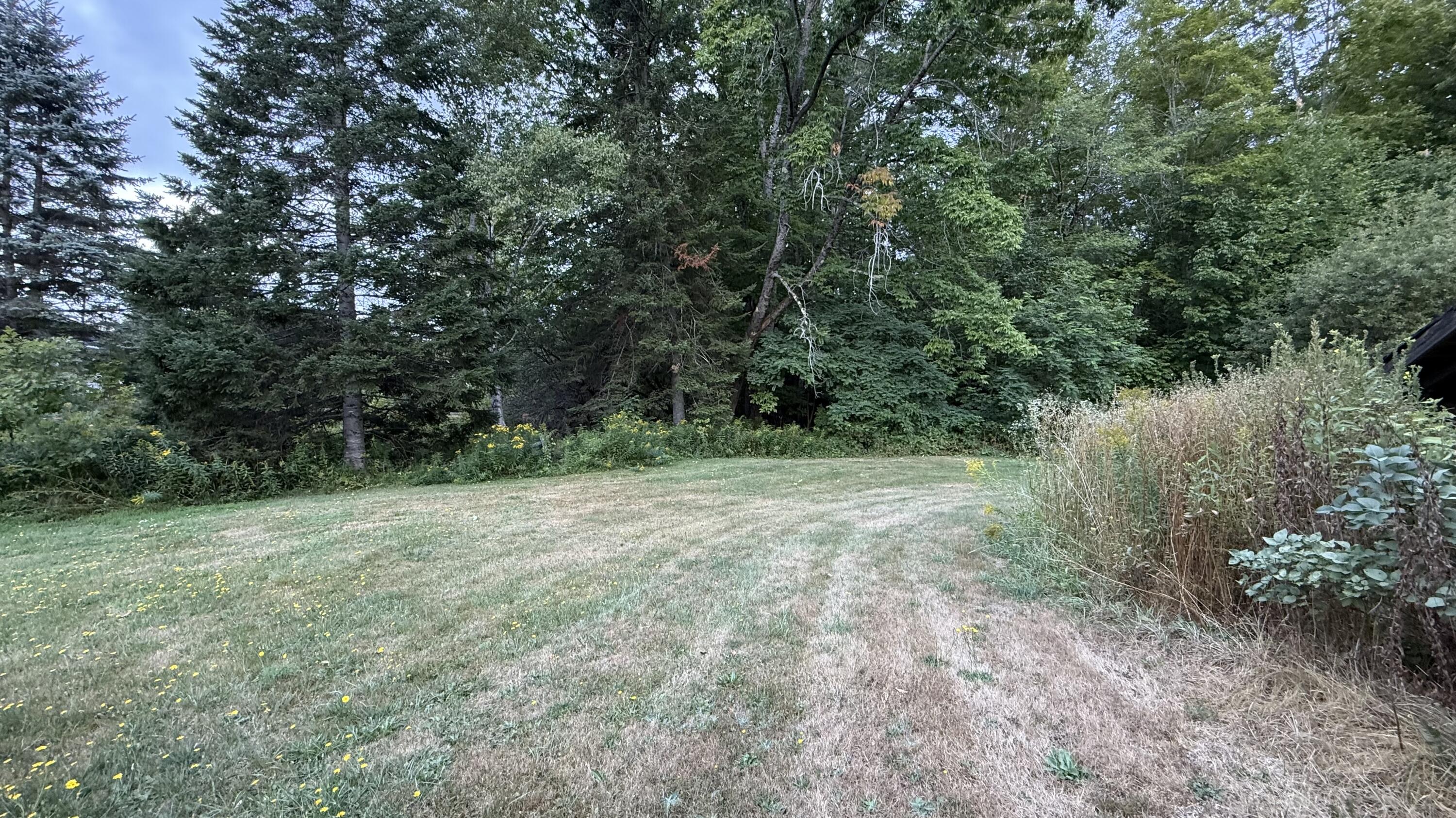 1123 South Street Property Photo 48