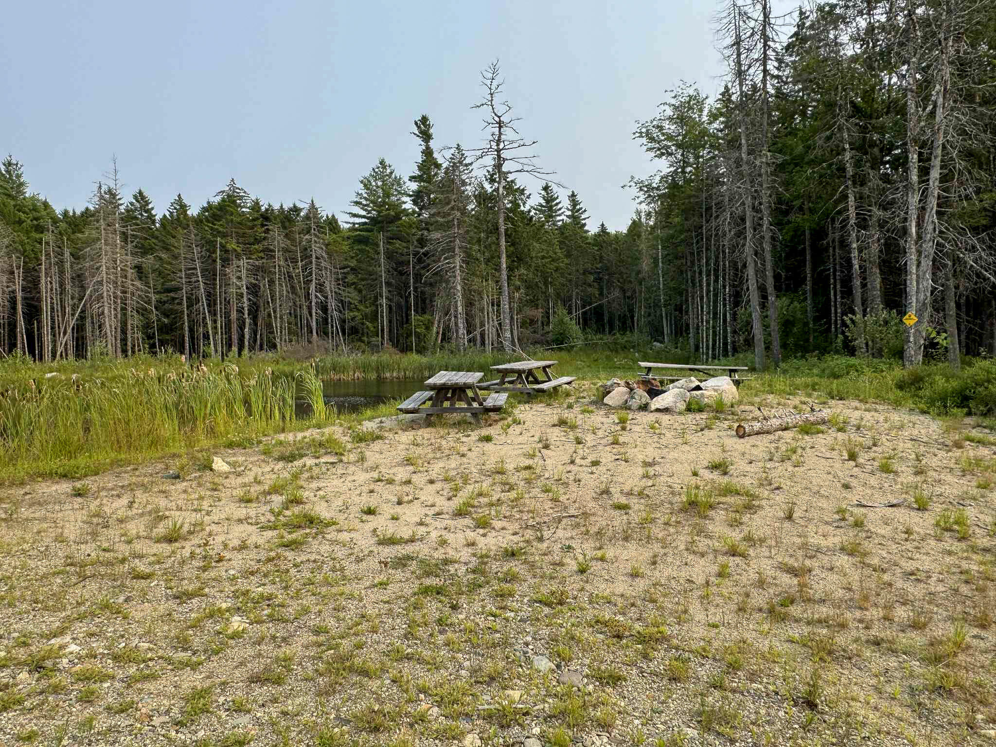 10 Pine Hill Road Property Photo 30