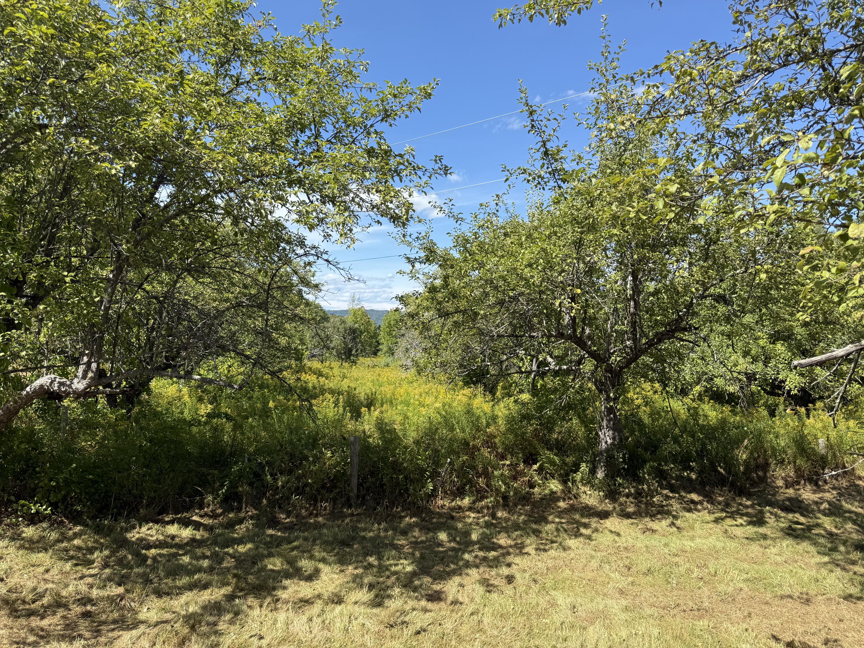 112 Hawk Mountain Road Property Photo 55