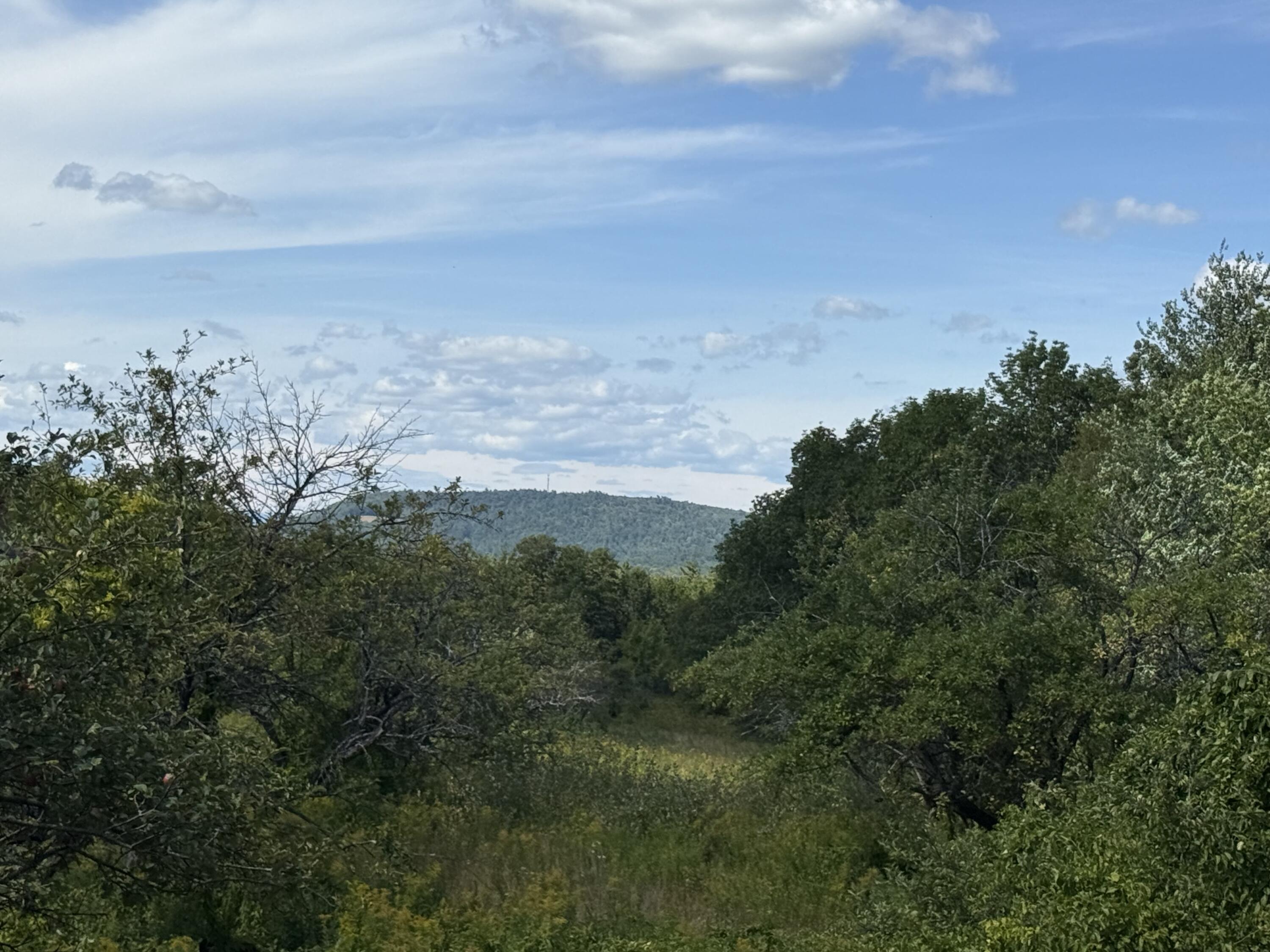 112 Hawk Mountain Road Property Photo 57