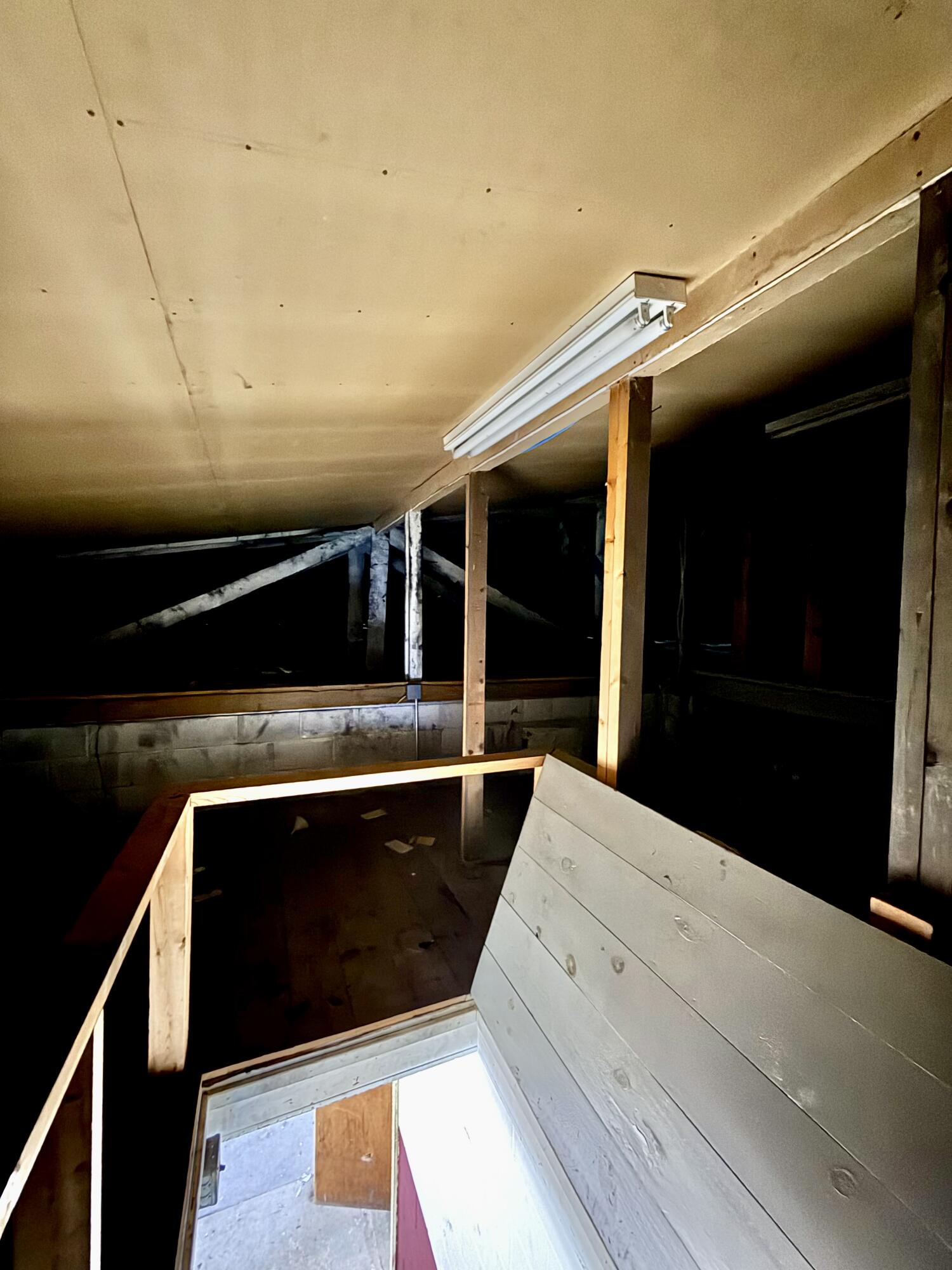 12 Tyler Street Property Photo 27