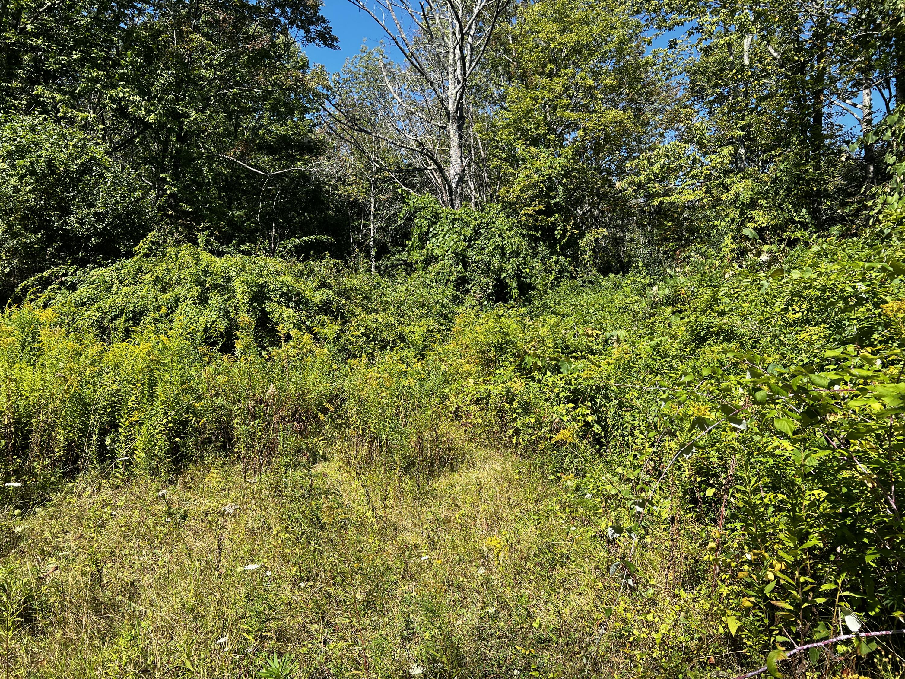 155 & 151 Gloucester Hill Road Property Photo 8