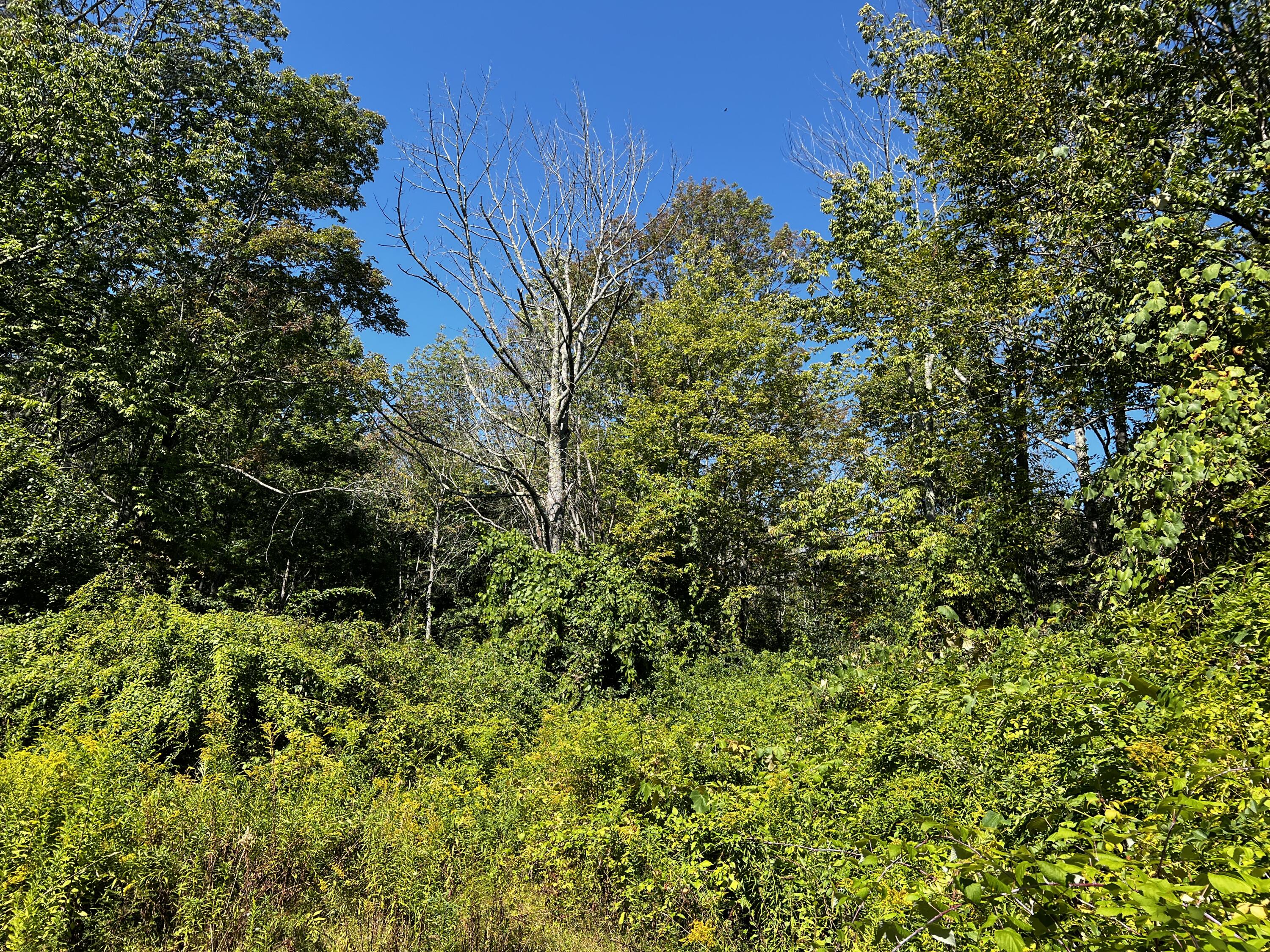 155 & 151 Gloucester Hill Road Property Photo 9